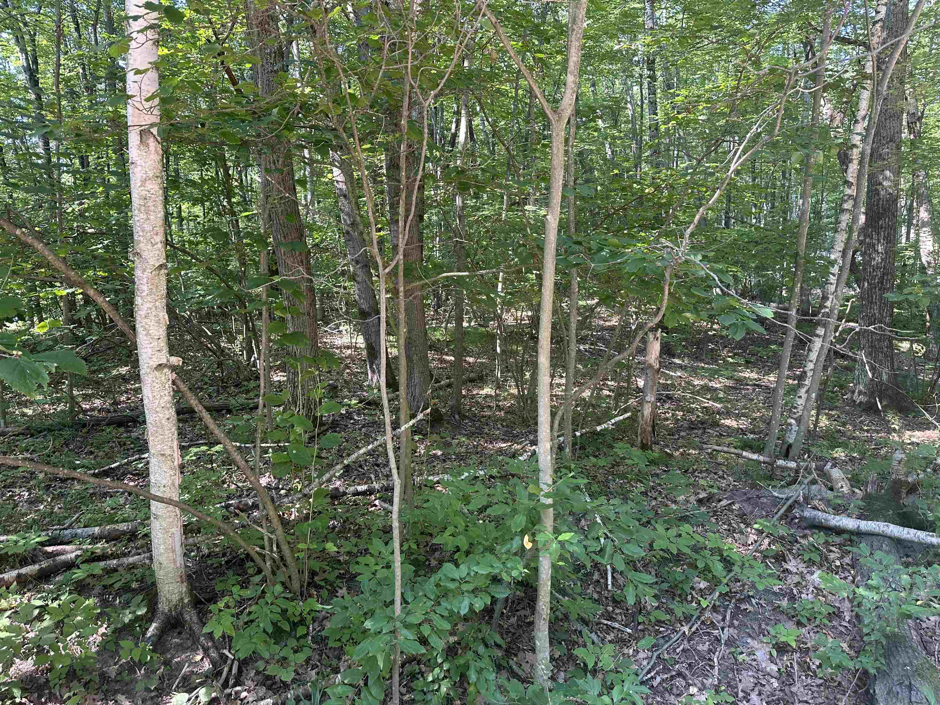 Lot # 179 Mockingbird Circle Property Photo 4