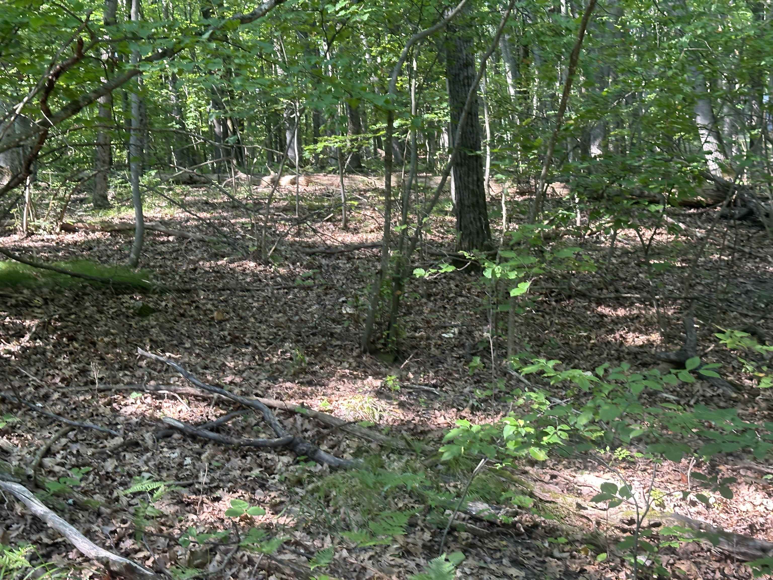 Lot # 179 Mockingbird Circle Property Photo 5