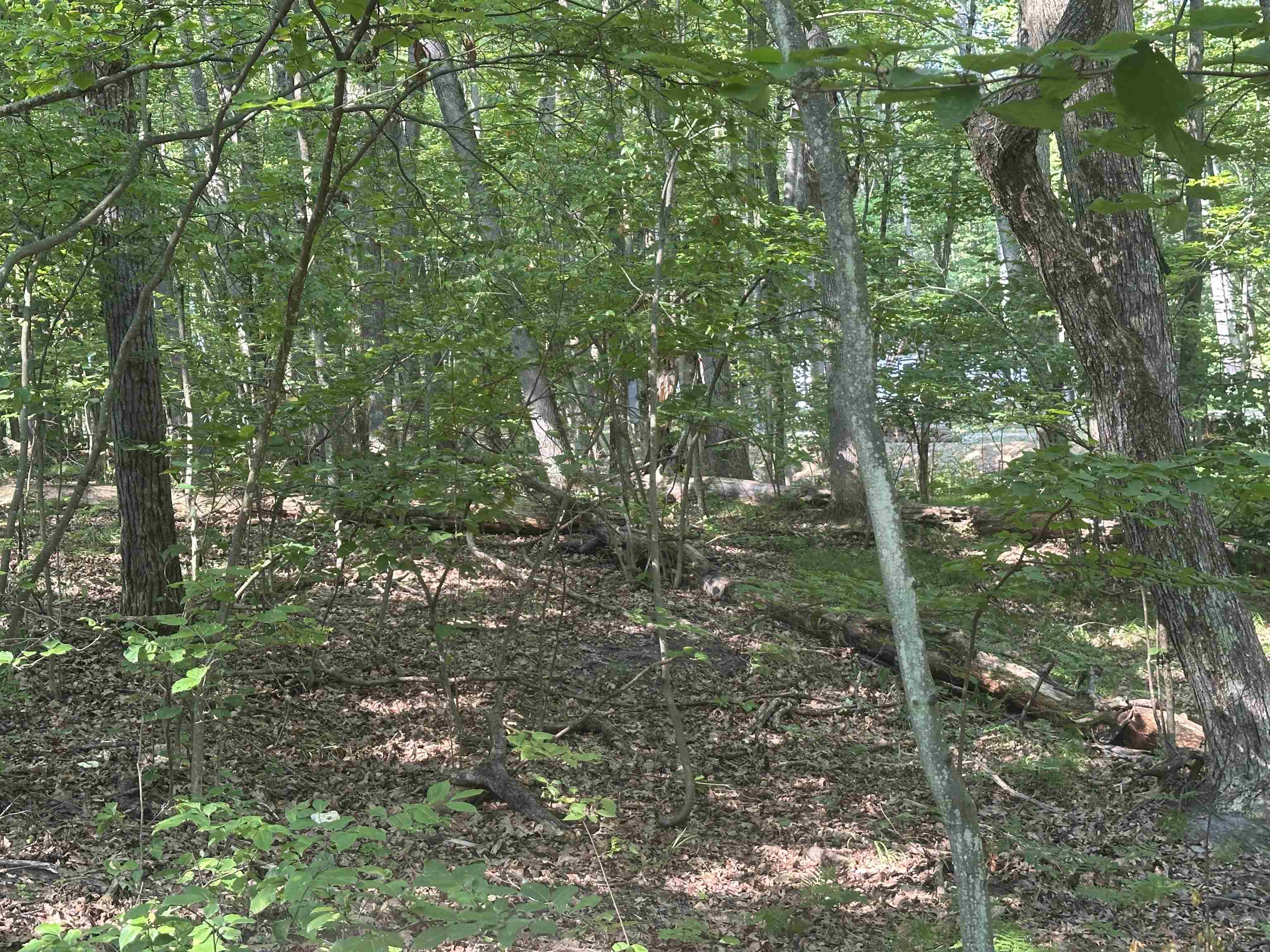 Lot # 179 Mockingbird Circle Property Photo 6