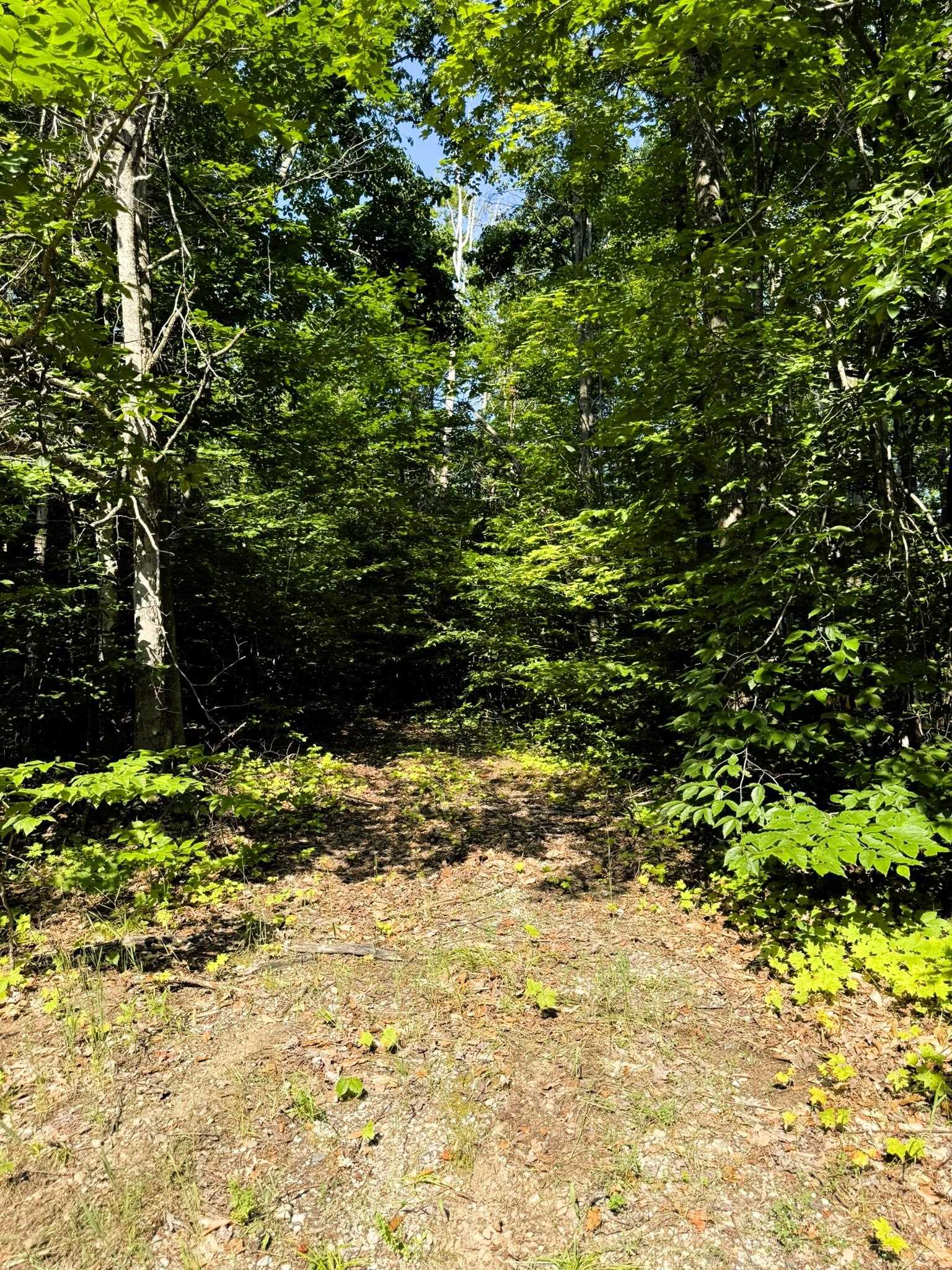 13218 Ne Heller Court Property Photo 11