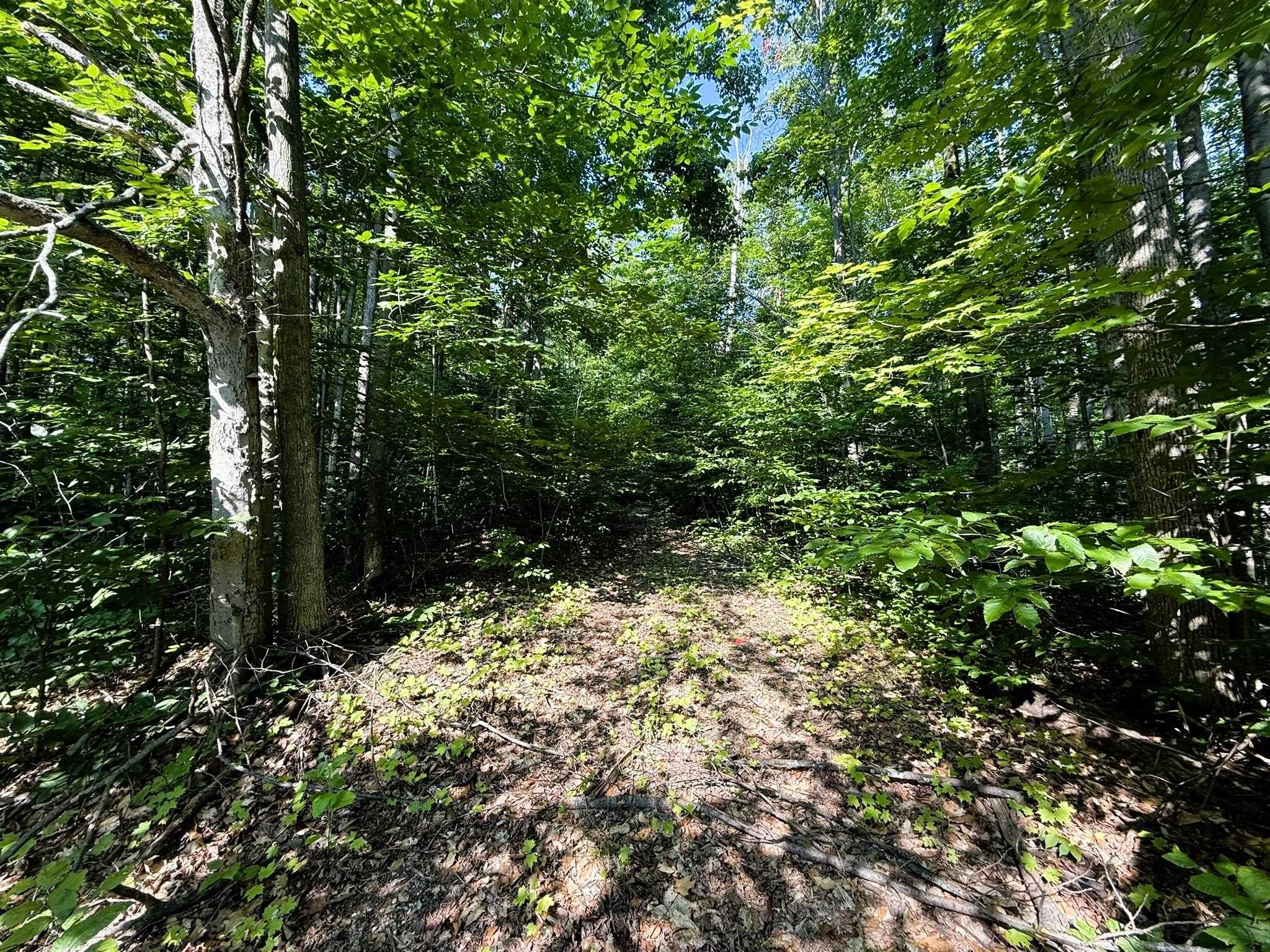 13218 Ne Heller Court Property Photo 12