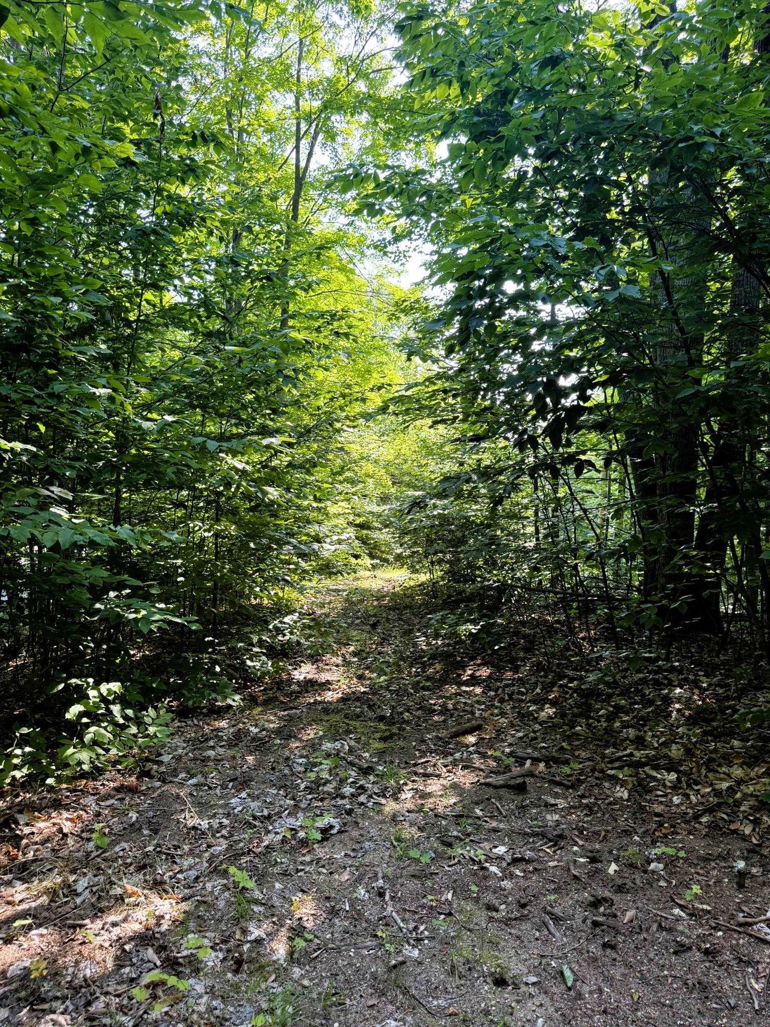 13218 Ne Heller Court Property Photo 16
