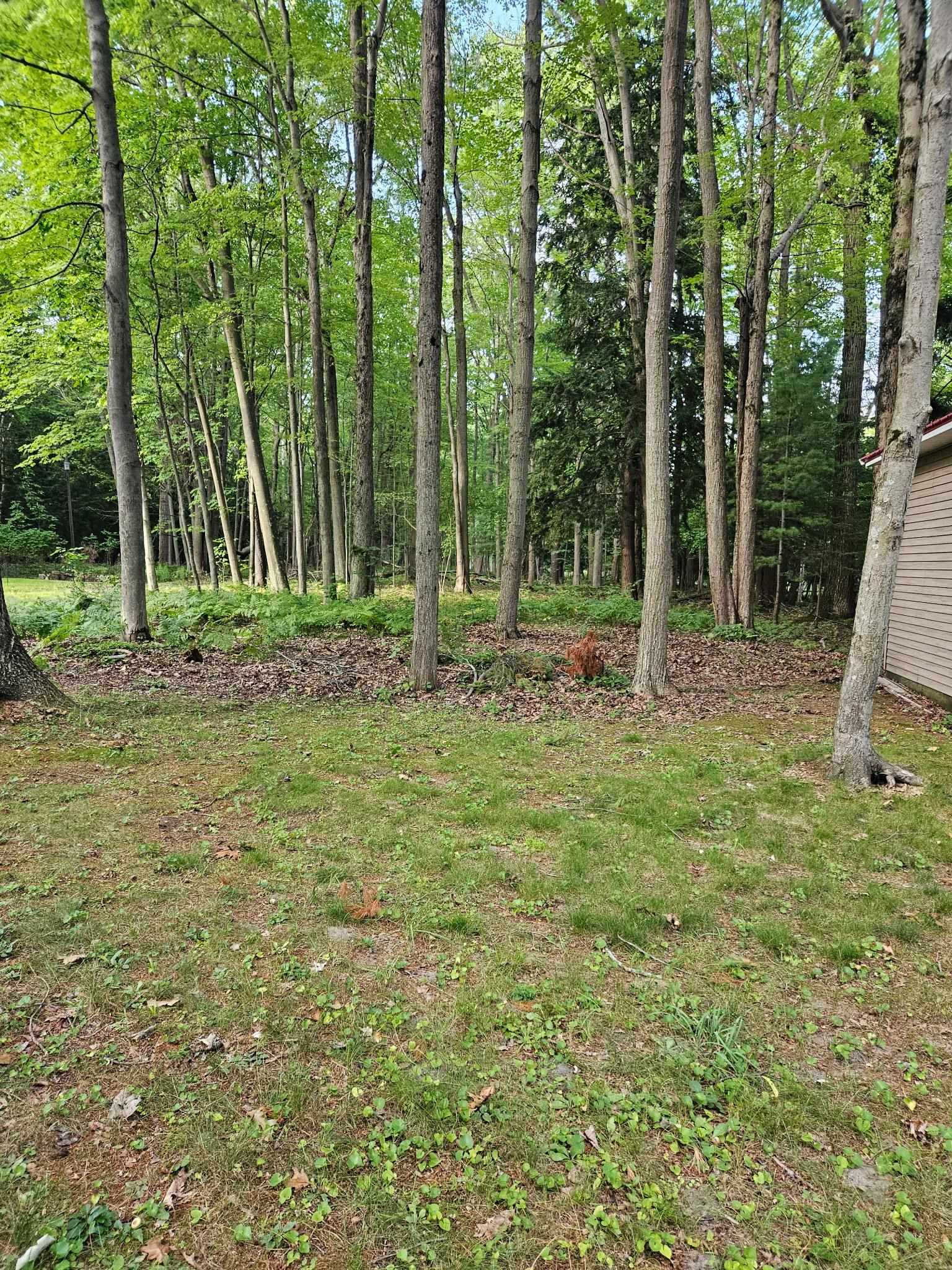 32 Deer Run Property Photo 7