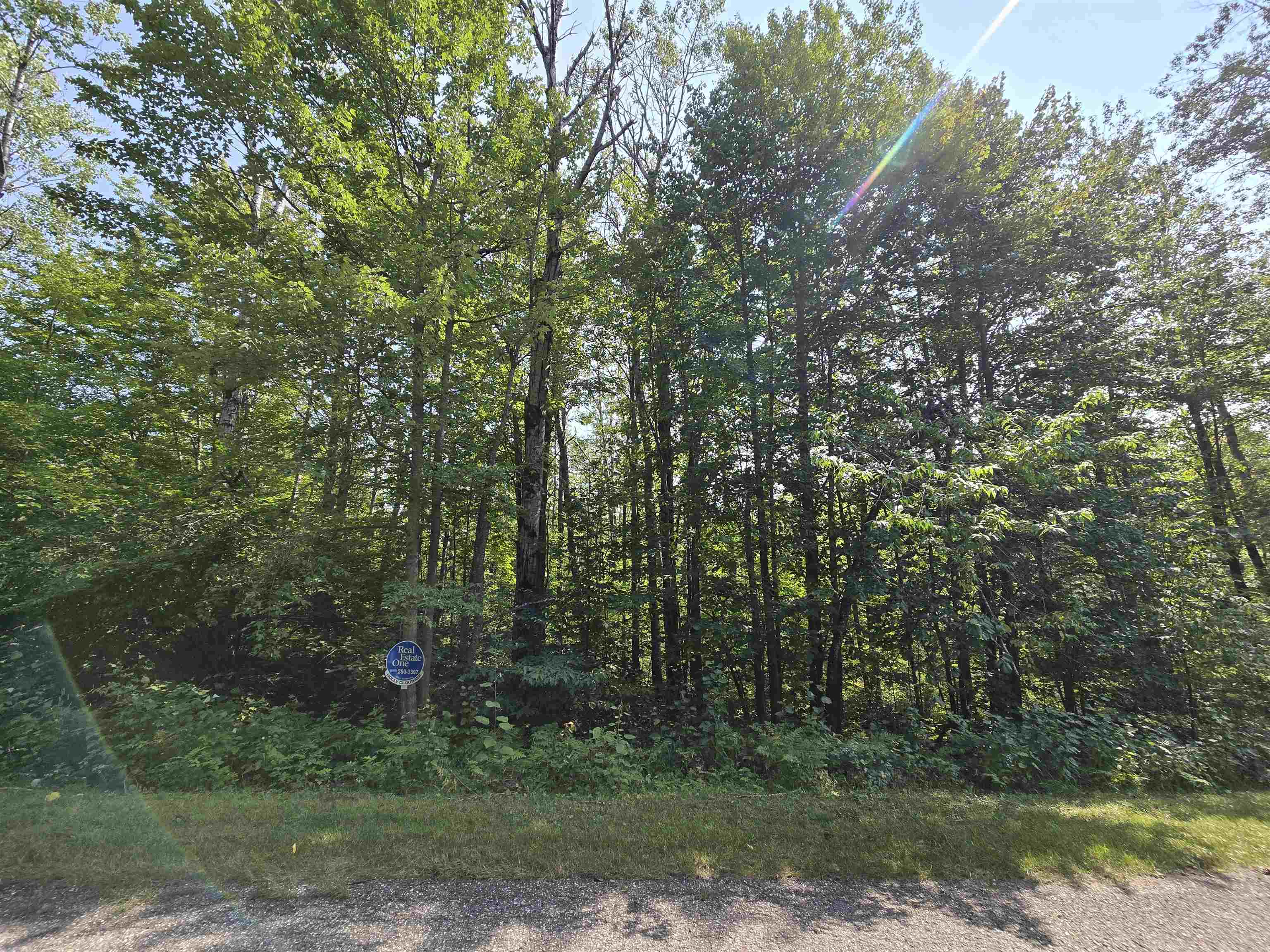 1617 Springdale Circle Property Photo 3