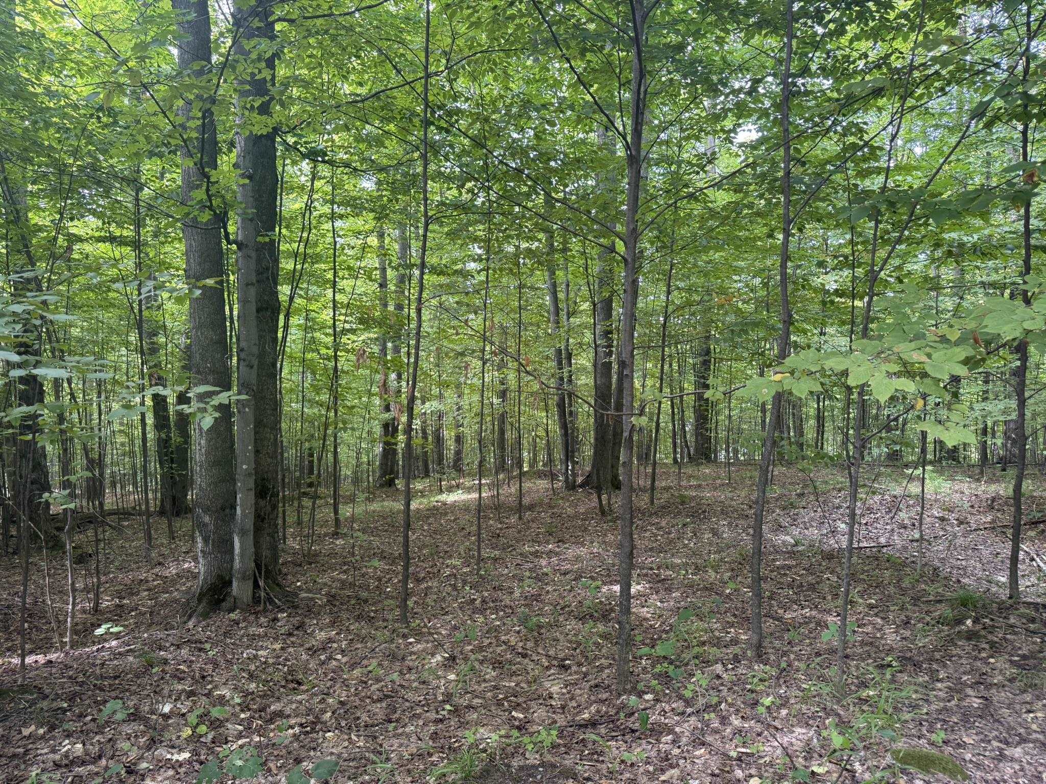 Lot 253 Niblick Court Property Photo 5