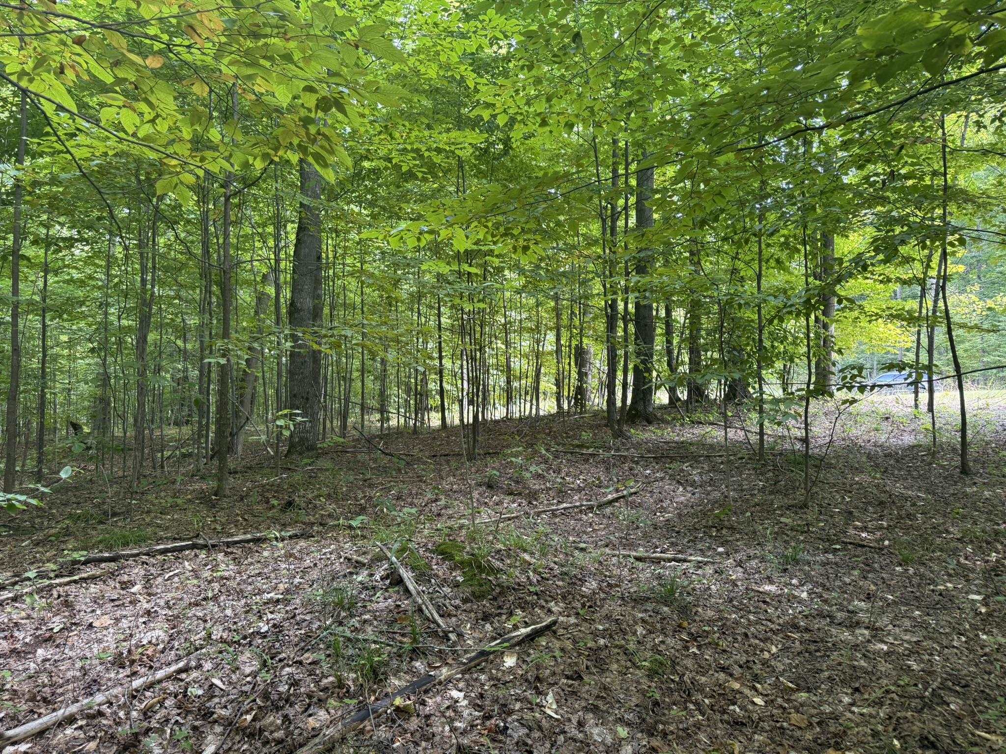 Lot 253 Niblick Court Property Photo 7