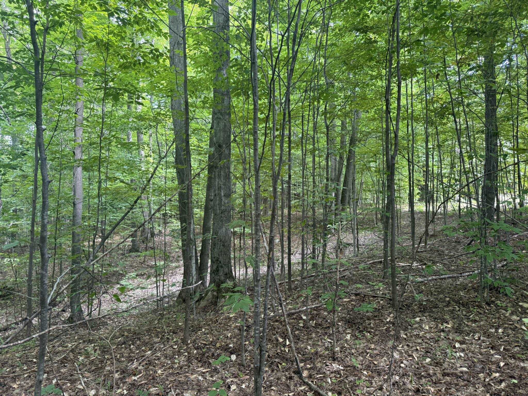 Lot 253 Niblick Court Property Photo 8
