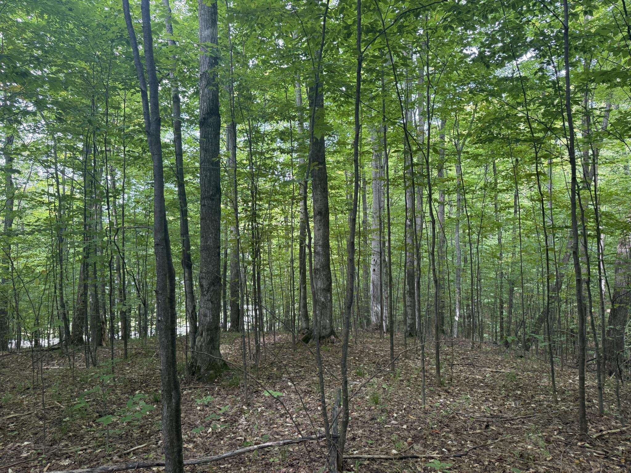 Lot 253 Niblick Court Property Photo 9