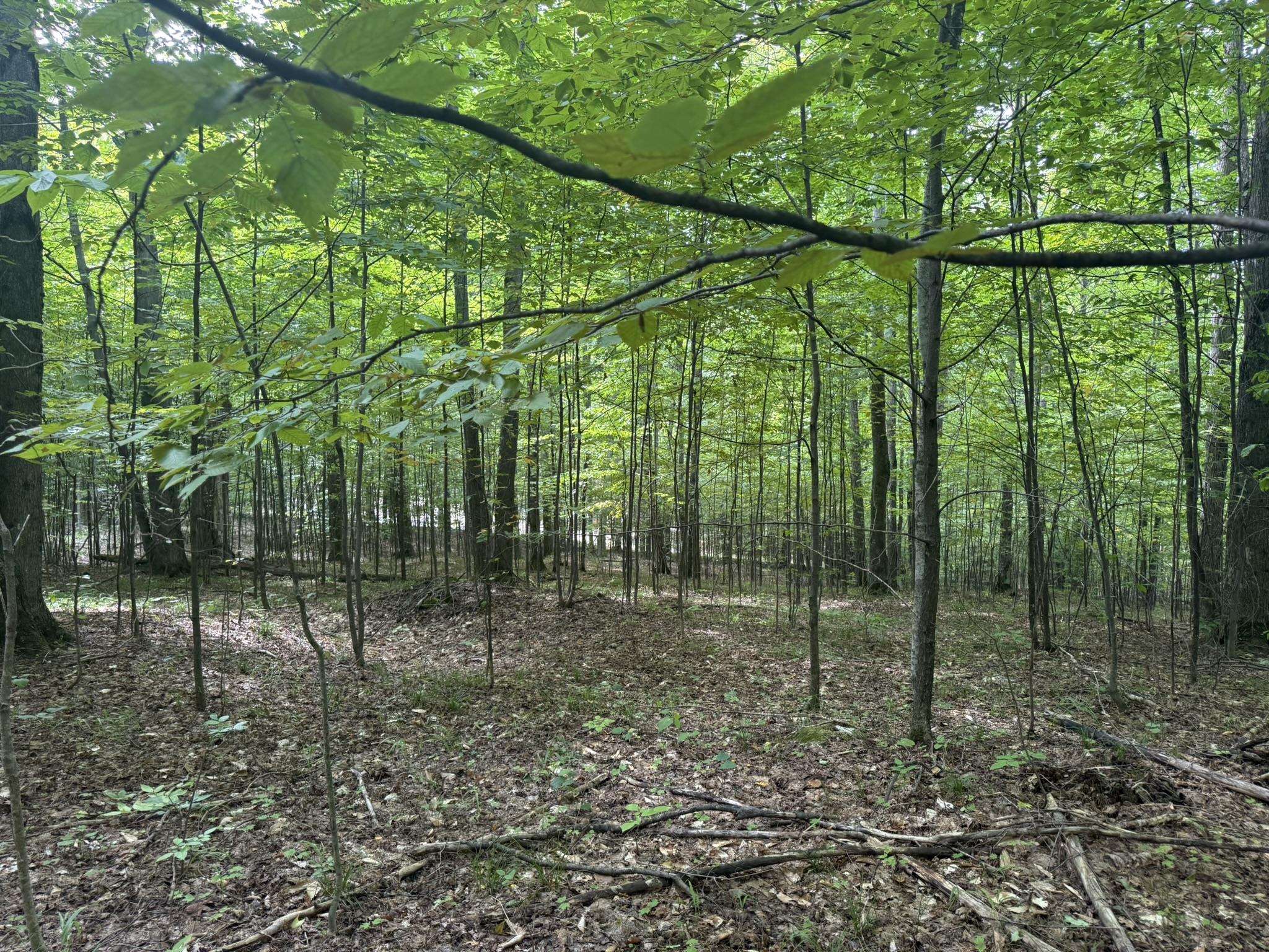 Lot 253 Niblick Court Property Photo 10