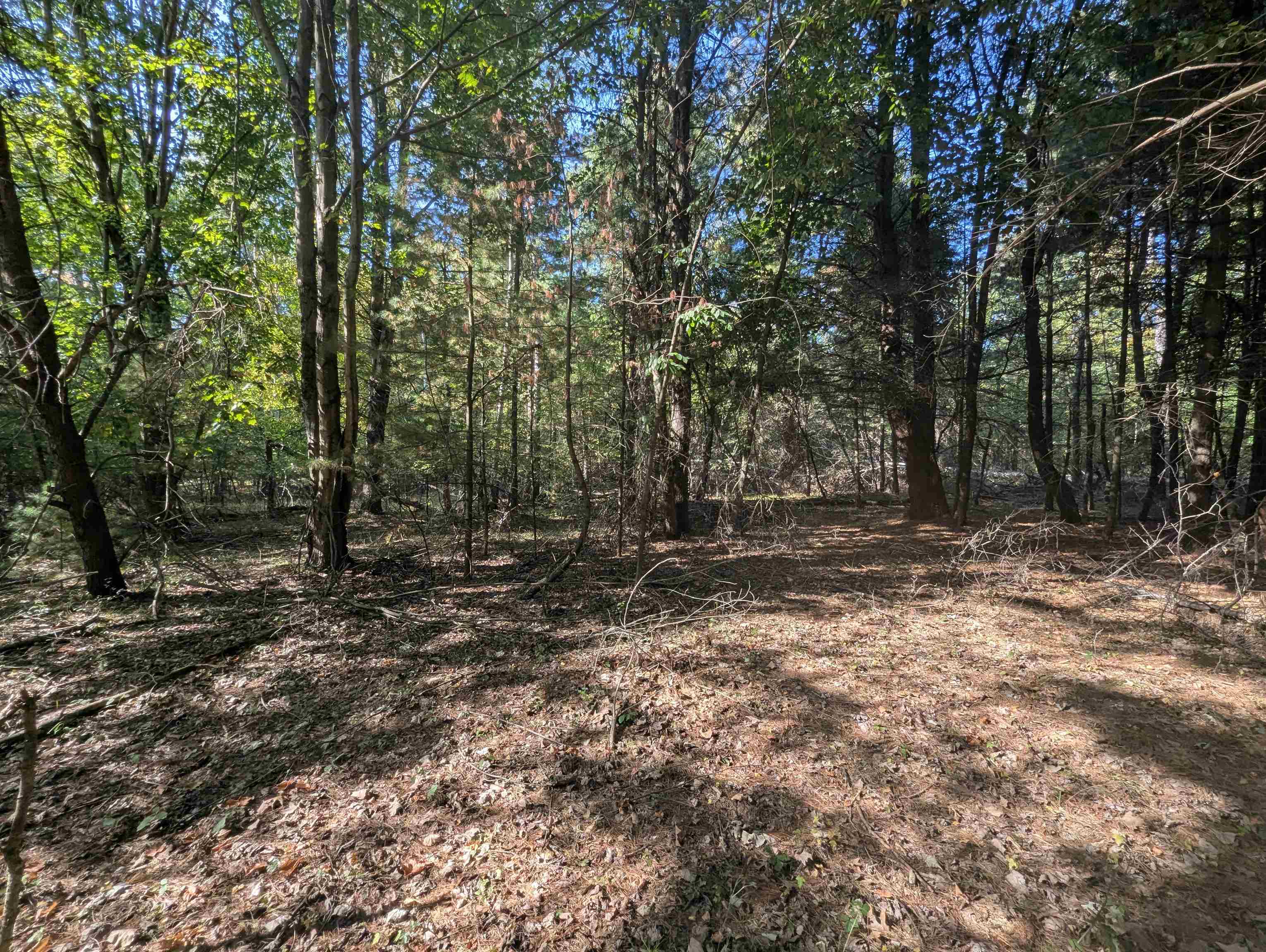 N/a N Forest Lake Drive Property Photo 1