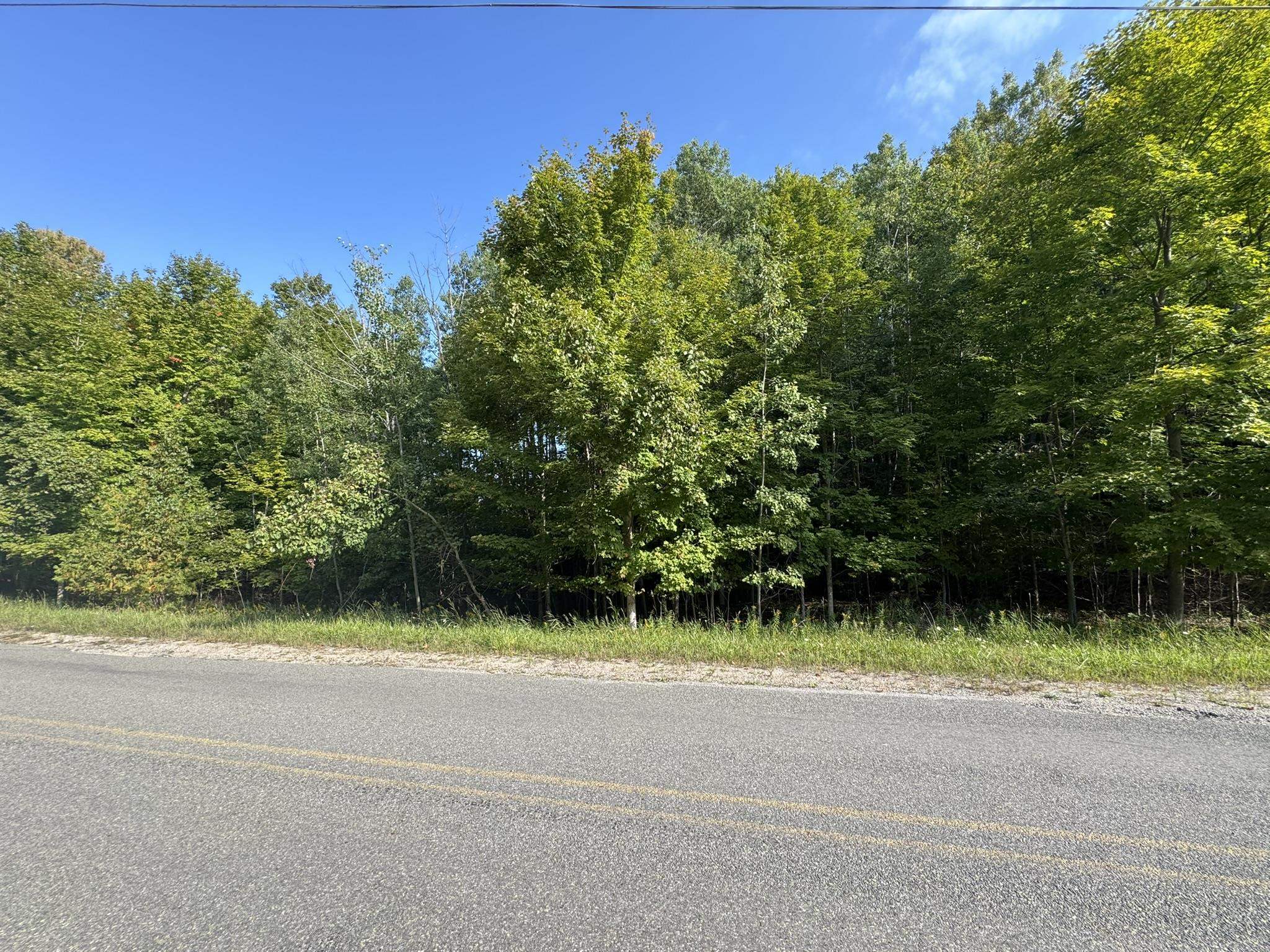 Lot 4 E Old Mountain Road Property Photo 1