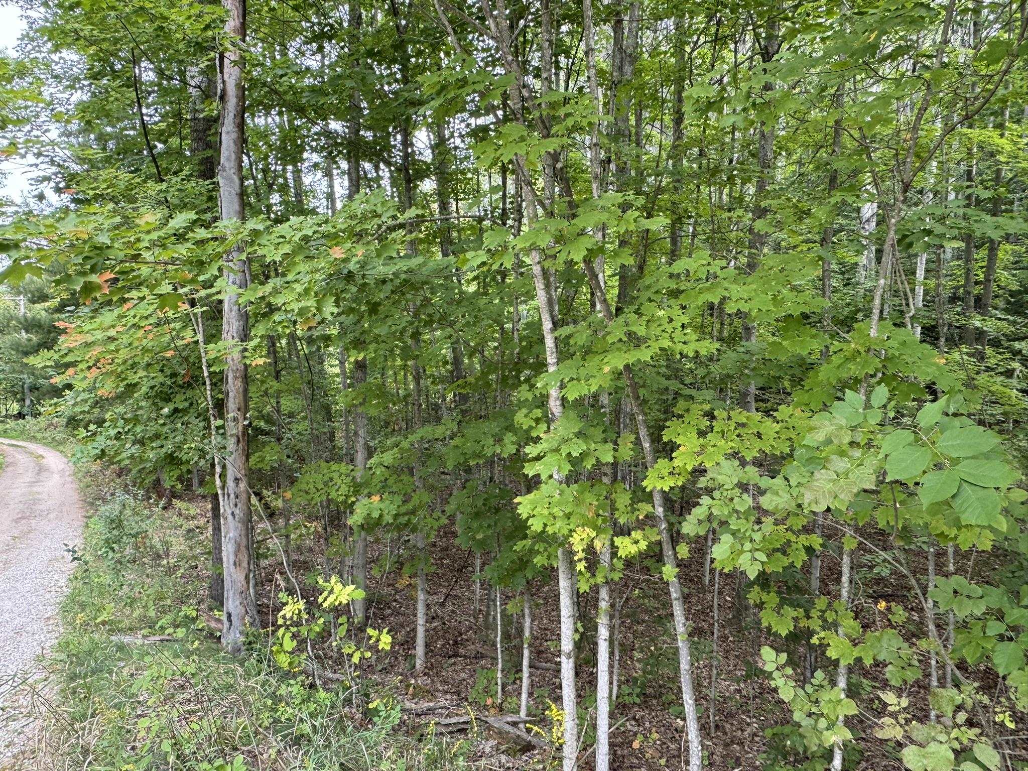 Lot 4 E Old Mountain Road Property Photo 3