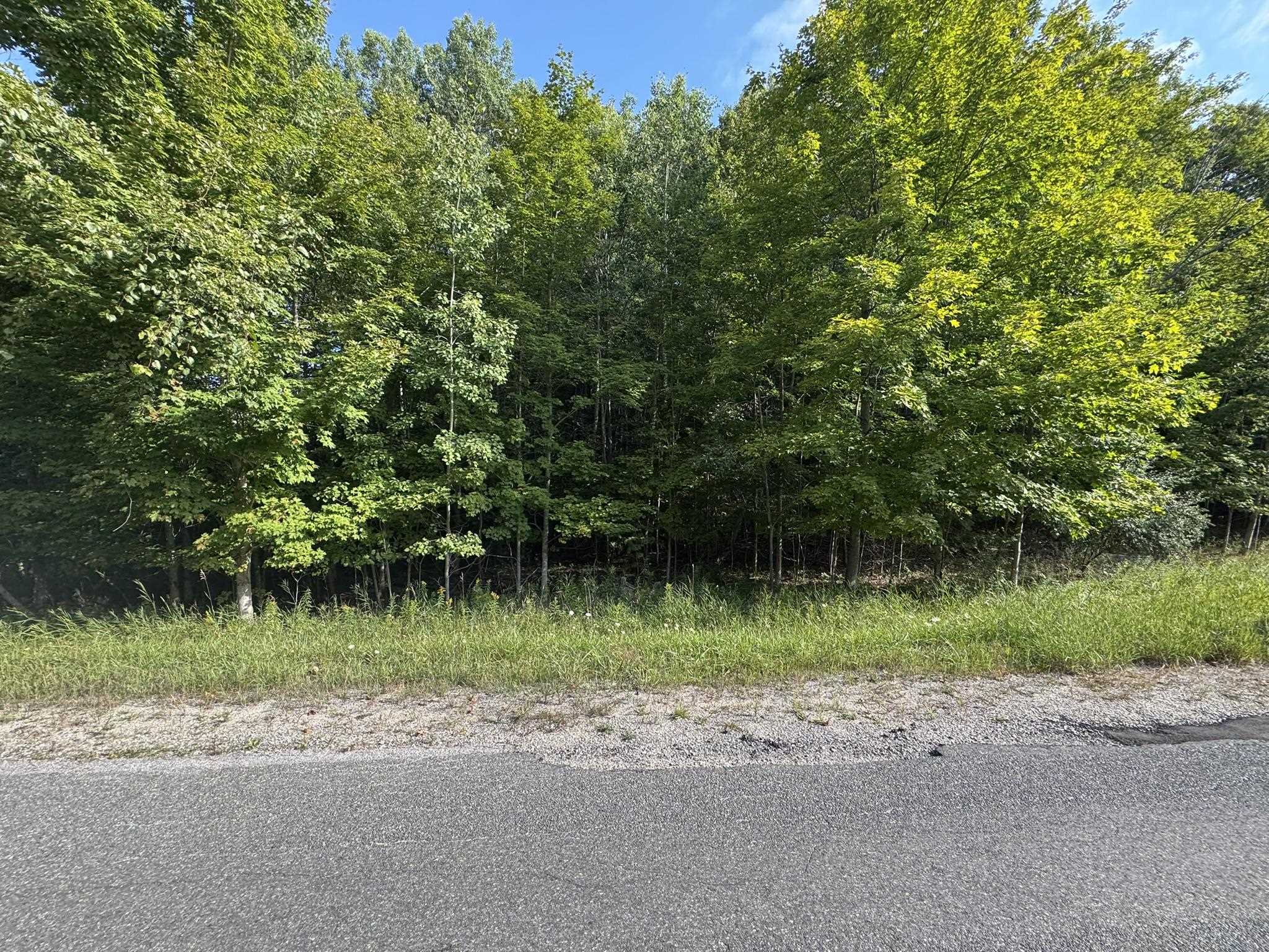 Lot 4 E Old Mountain Road Property Photo 4