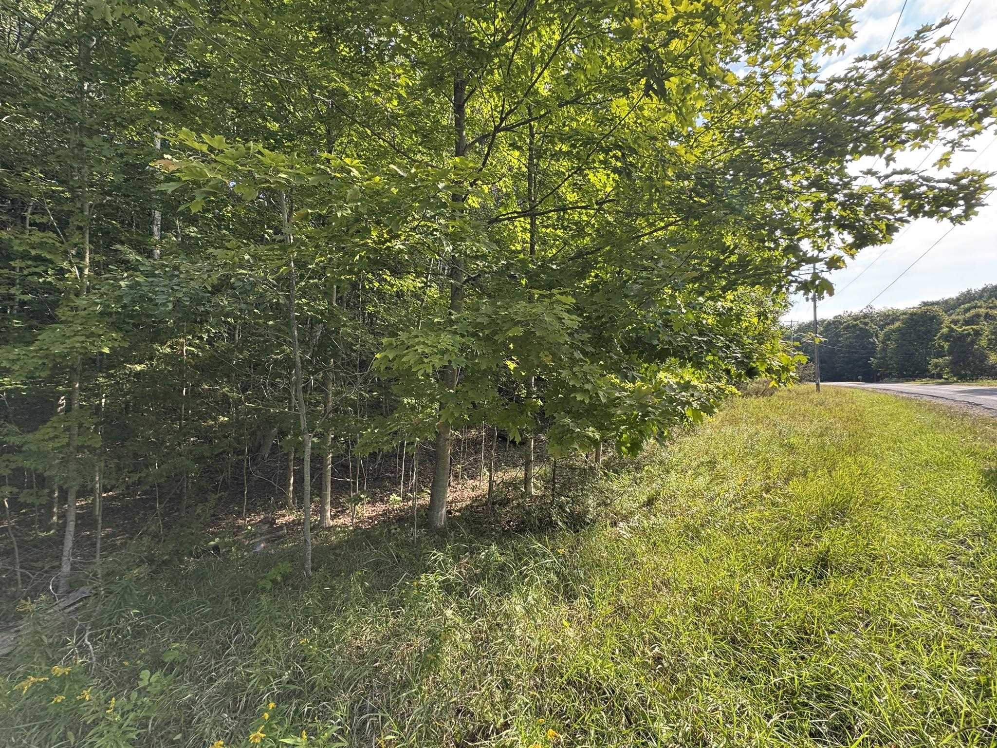 Lot 4 E Old Mountain Road Property Photo 5