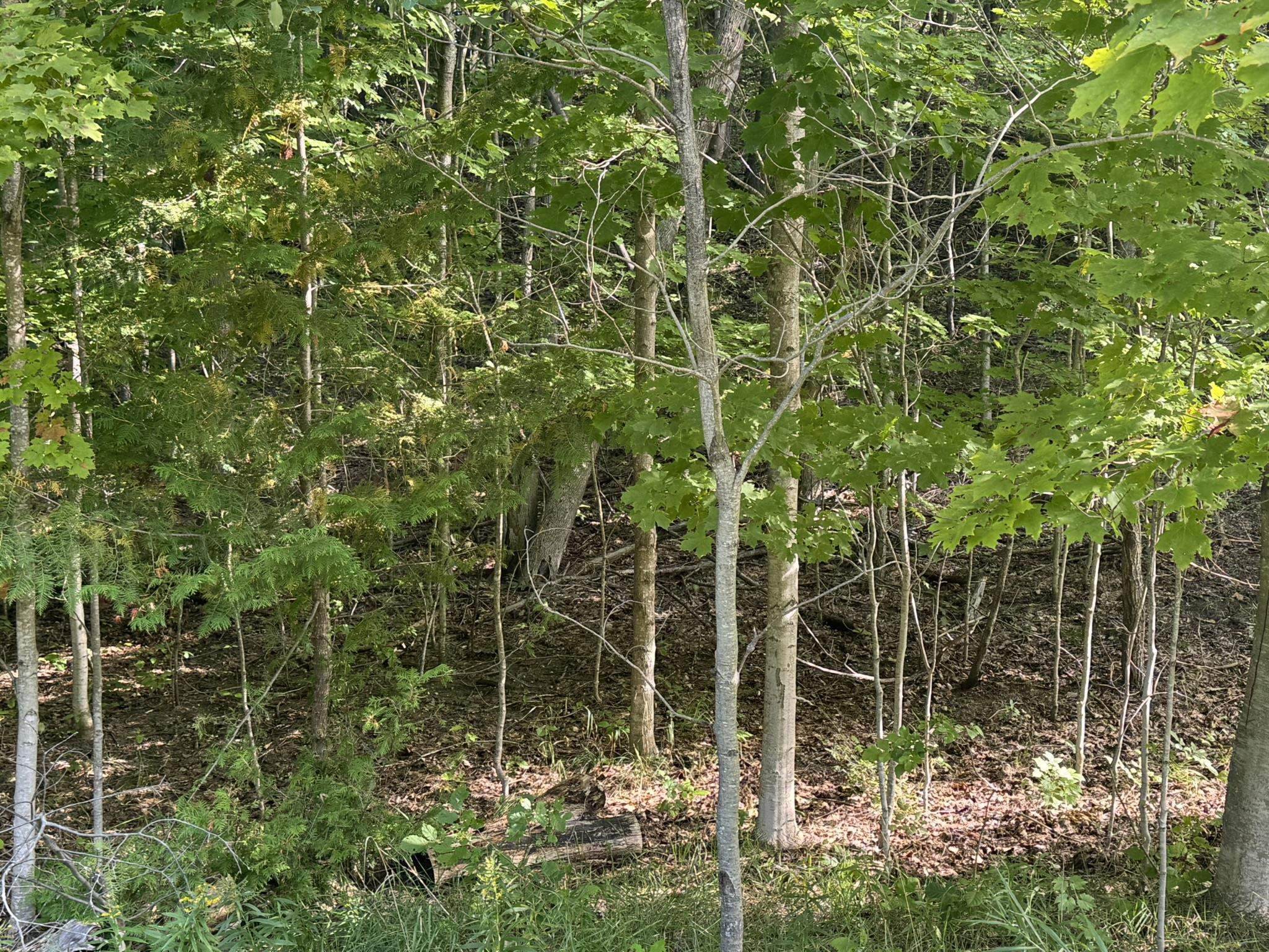 Lot 4 E Old Mountain Road Property Photo 6