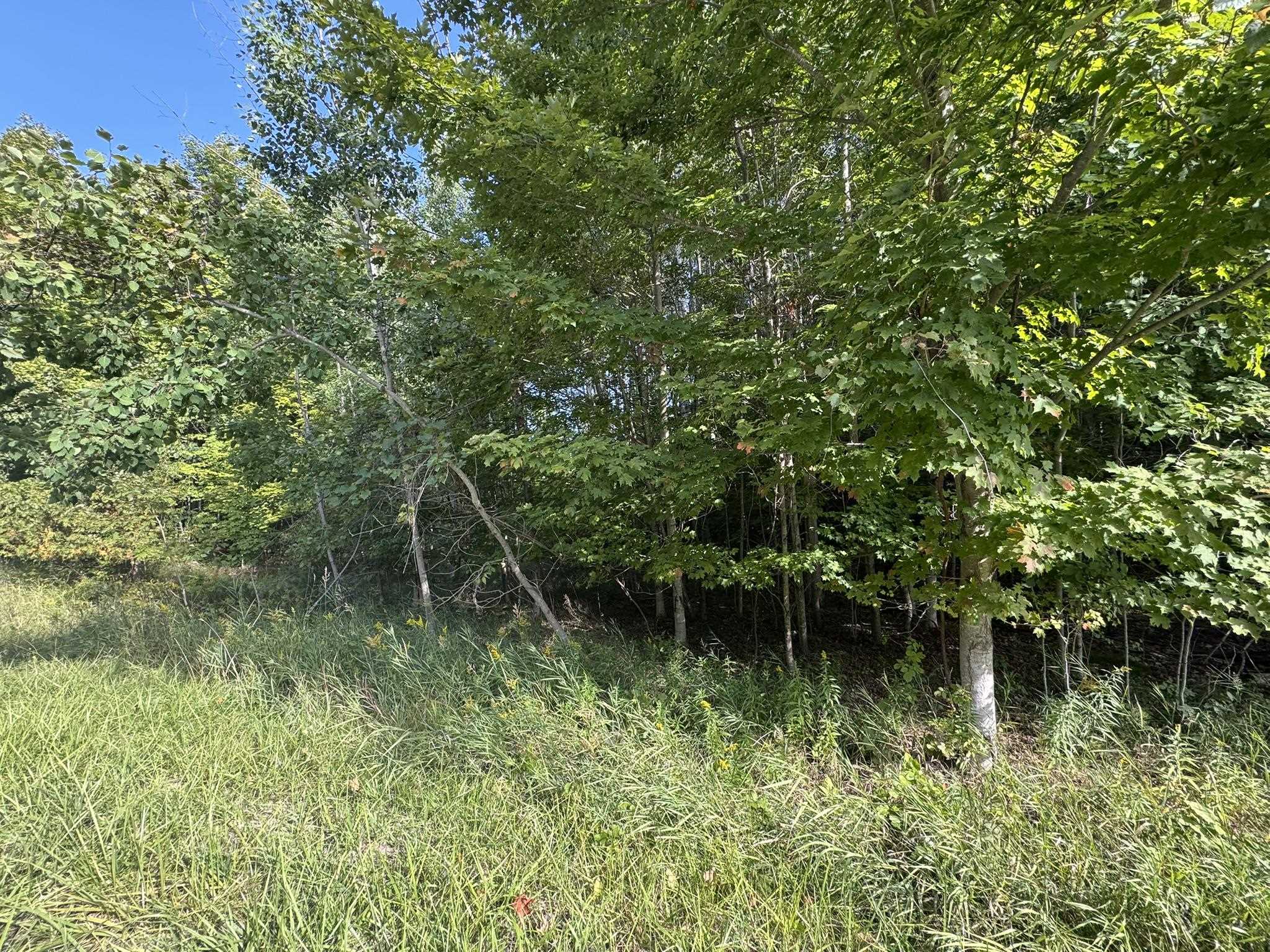 Lot 4 E Old Mountain Road Property Photo 7