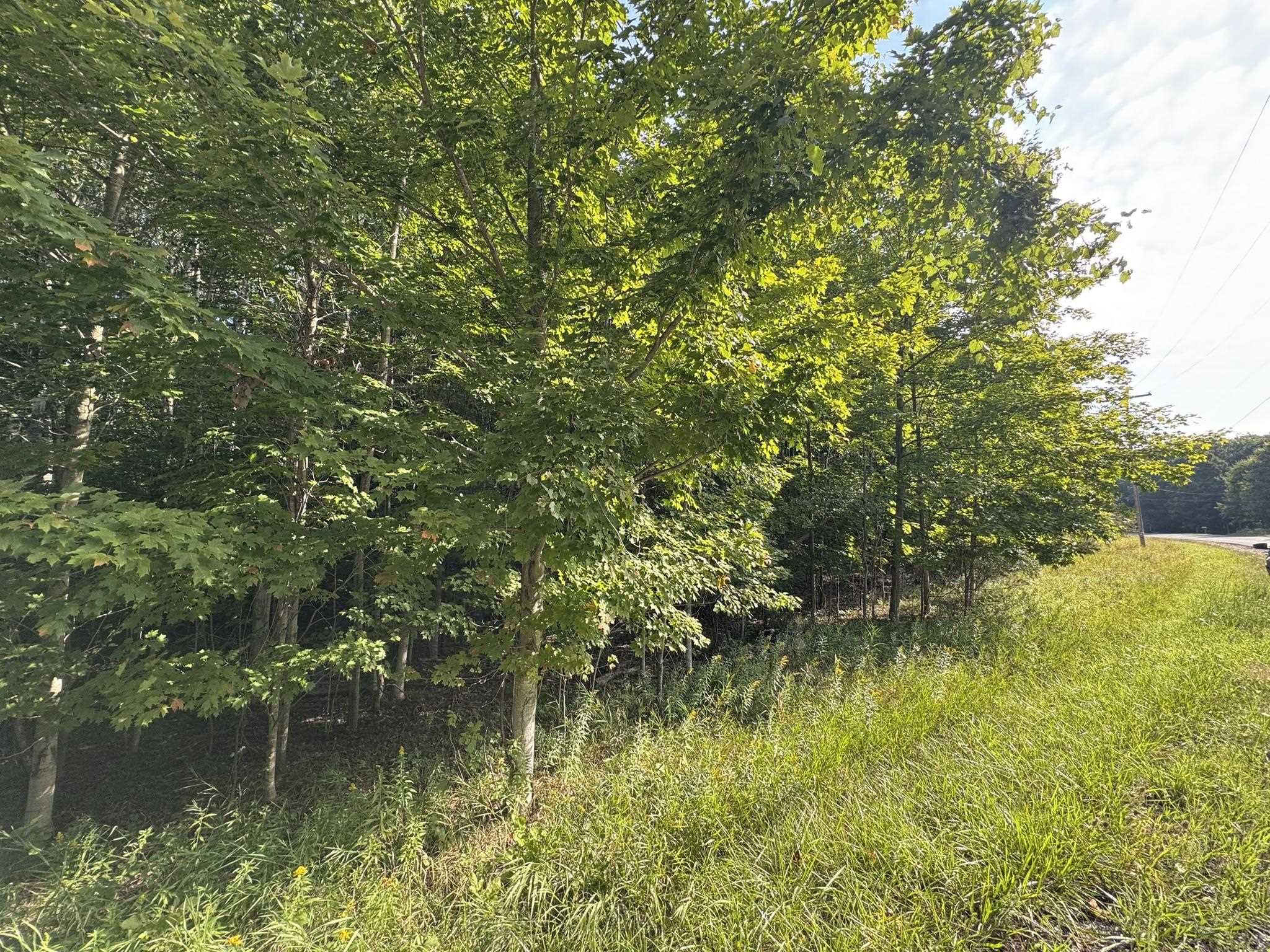 Lot 4 E Old Mountain Road Property Photo 8