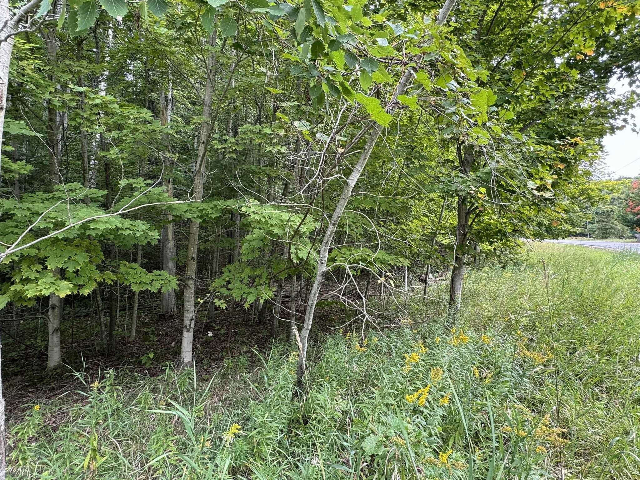 Lot 4 E Old Mountain Road Property Photo 9