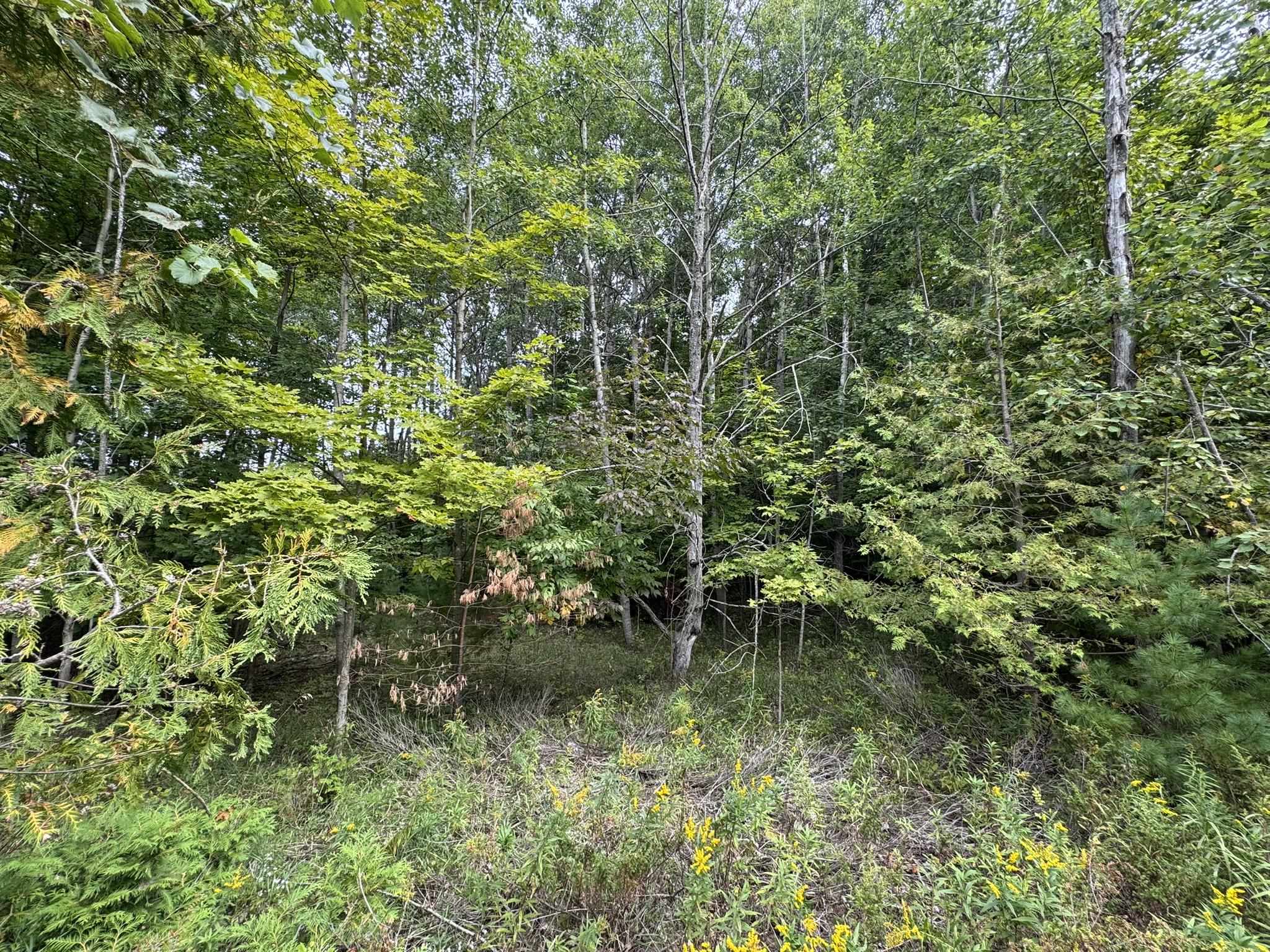 Lot 4 E Old Mountain Road Property Photo 10