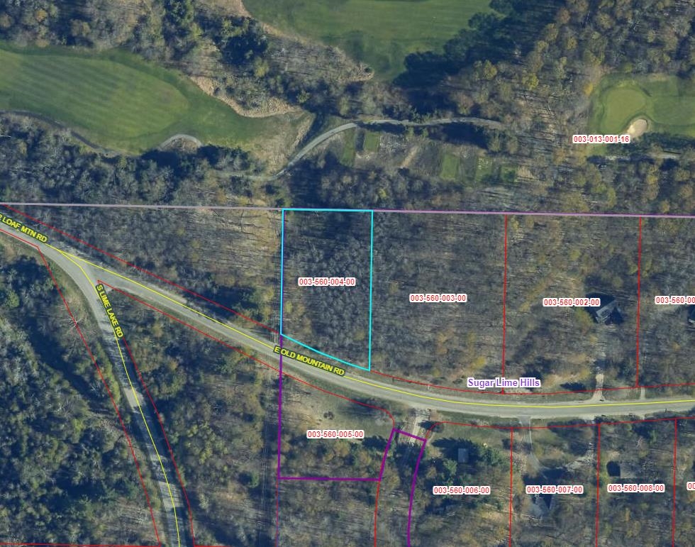 Lot 4 E Old Mountain Road Property Photo 12