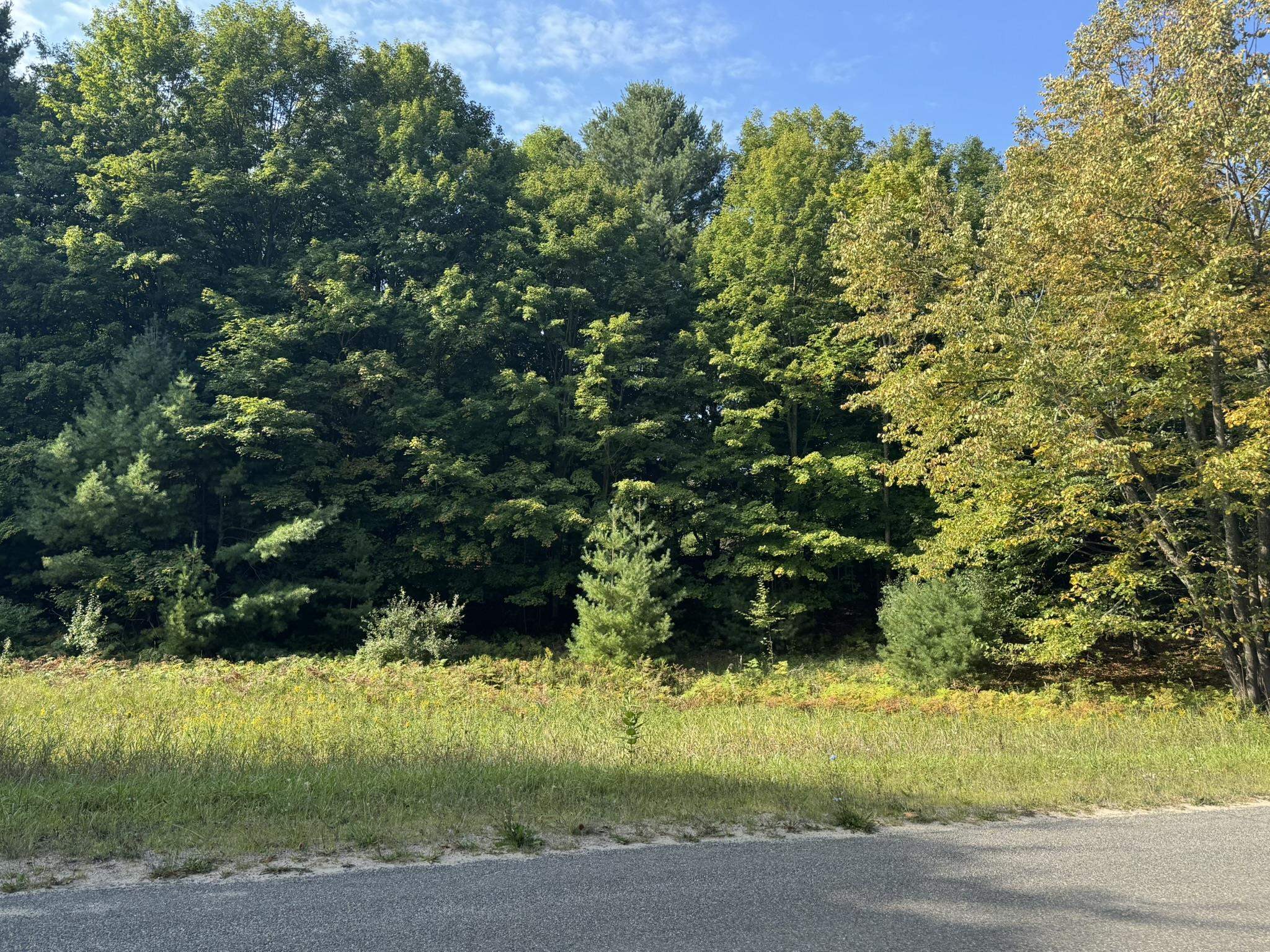 Lot 5 E Old Mountain Road Property Photo 1