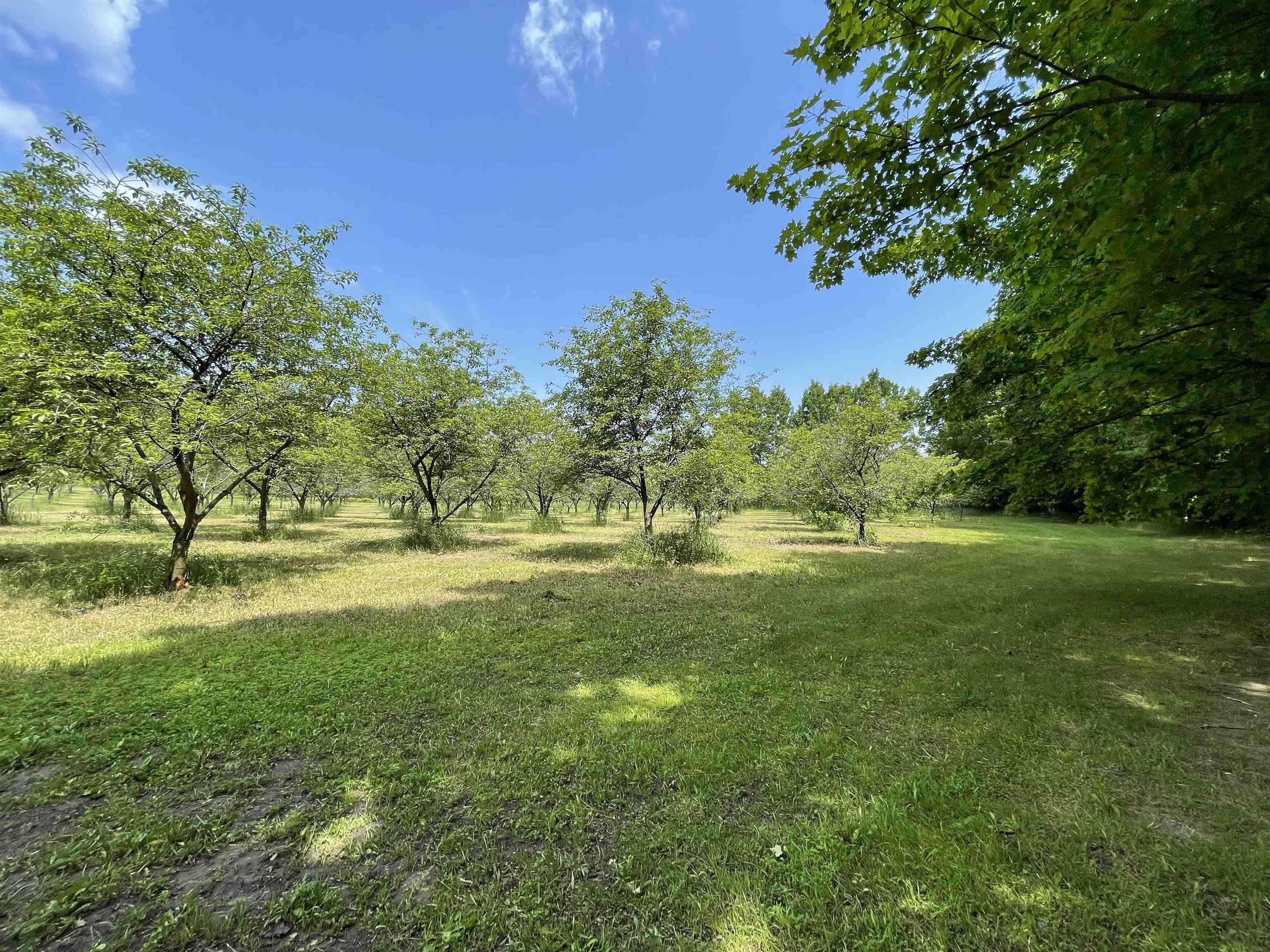 S Lee Point Road Property Photo 16