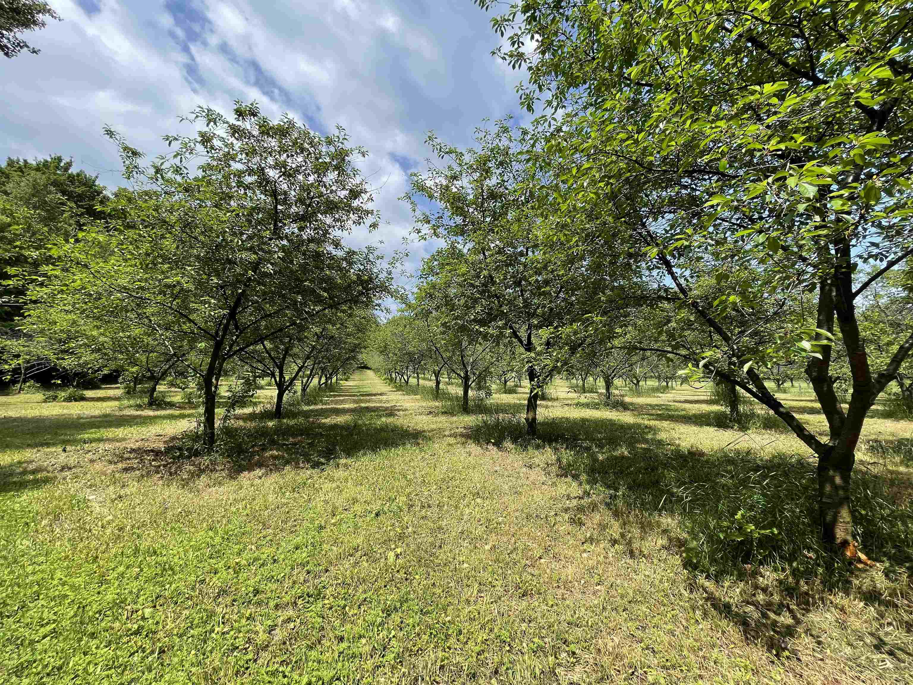 S Lee Point Road Property Photo 18