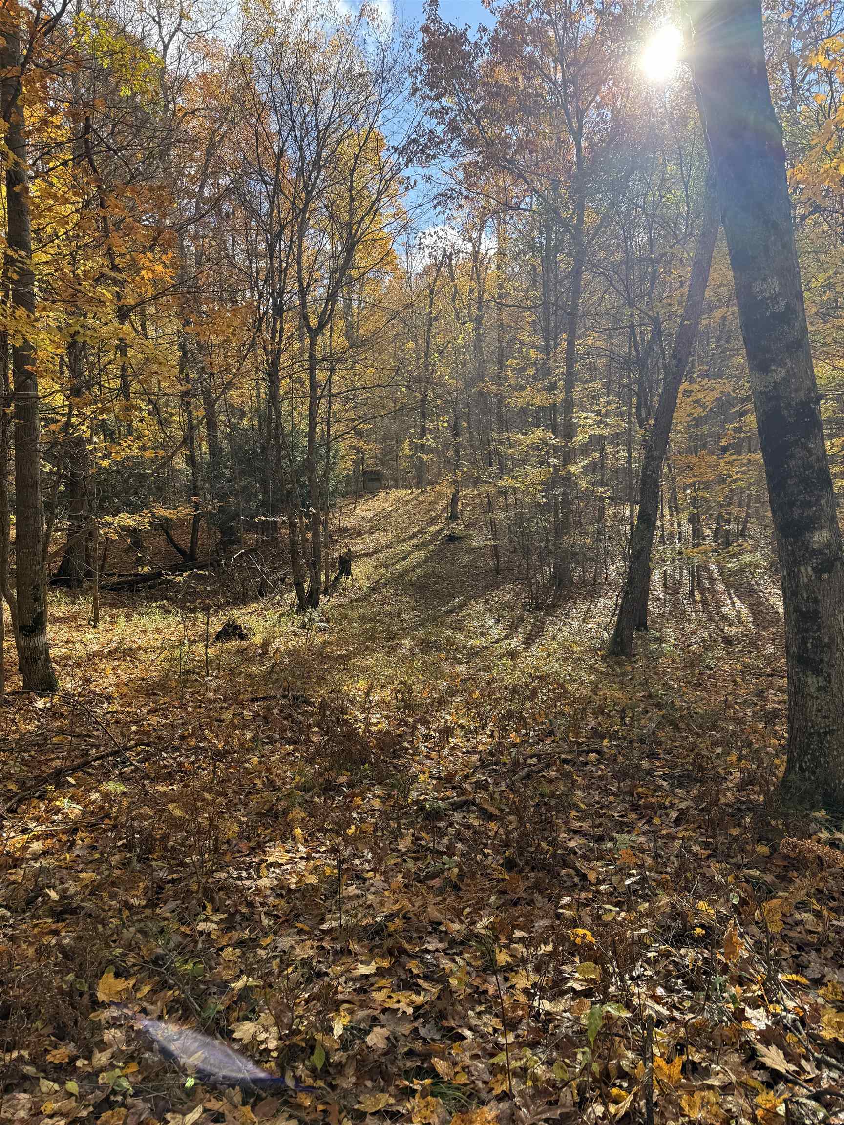 0 S Fritz Road Property Photo 14