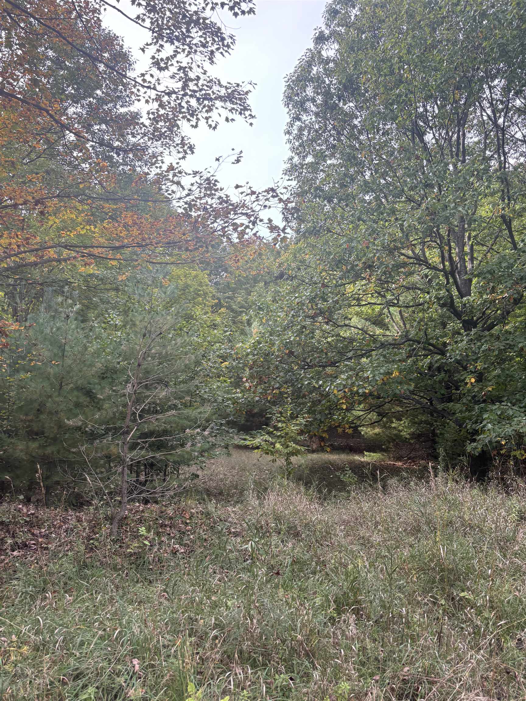 0 S Fritz Road Property Photo 25