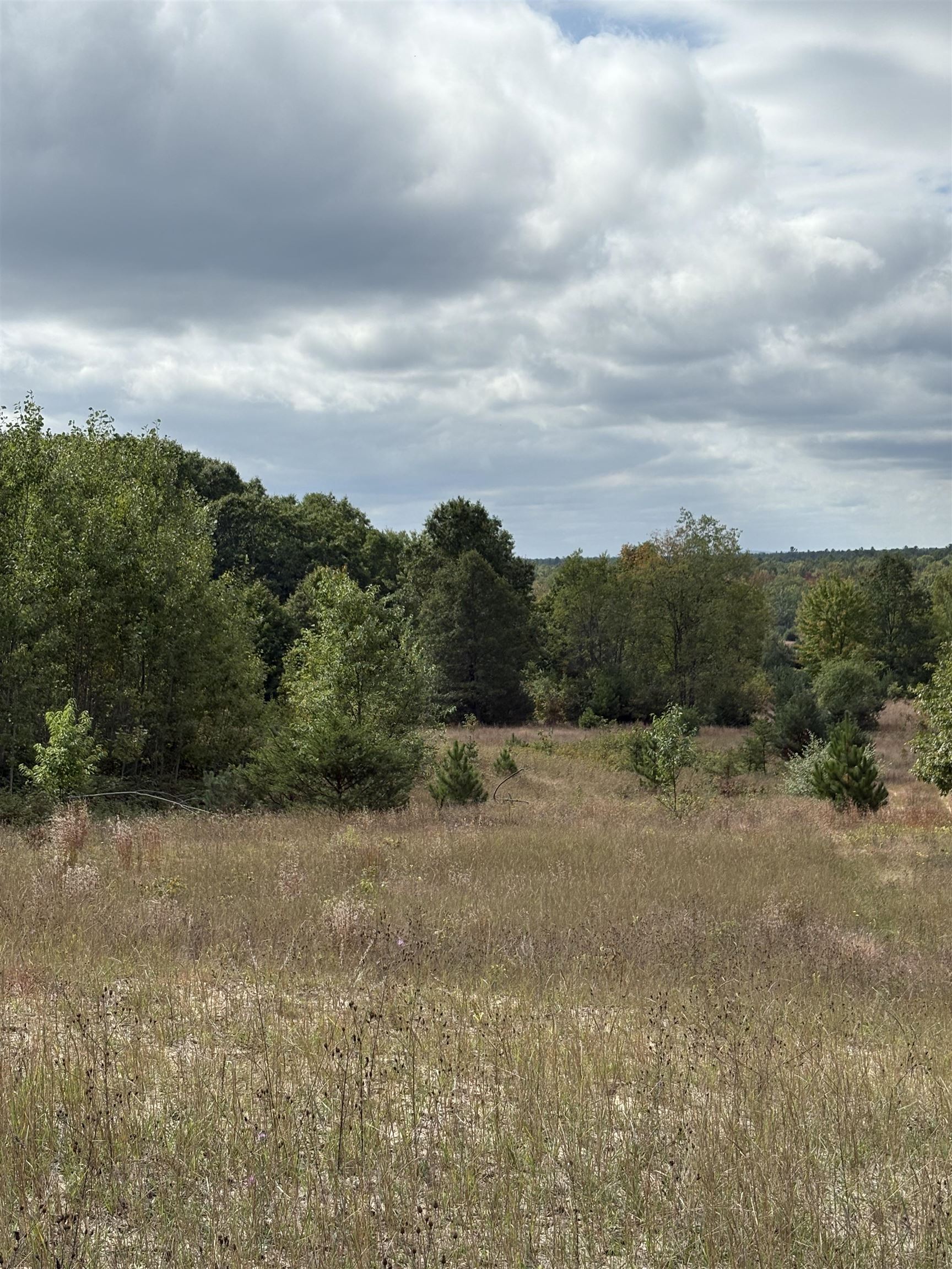 7267 S Snyder Road Property Photo 4