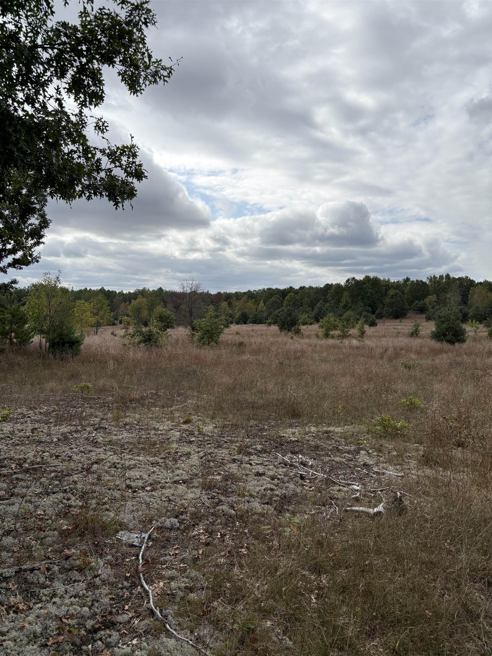 7267 S Snyder Road Property Photo 7