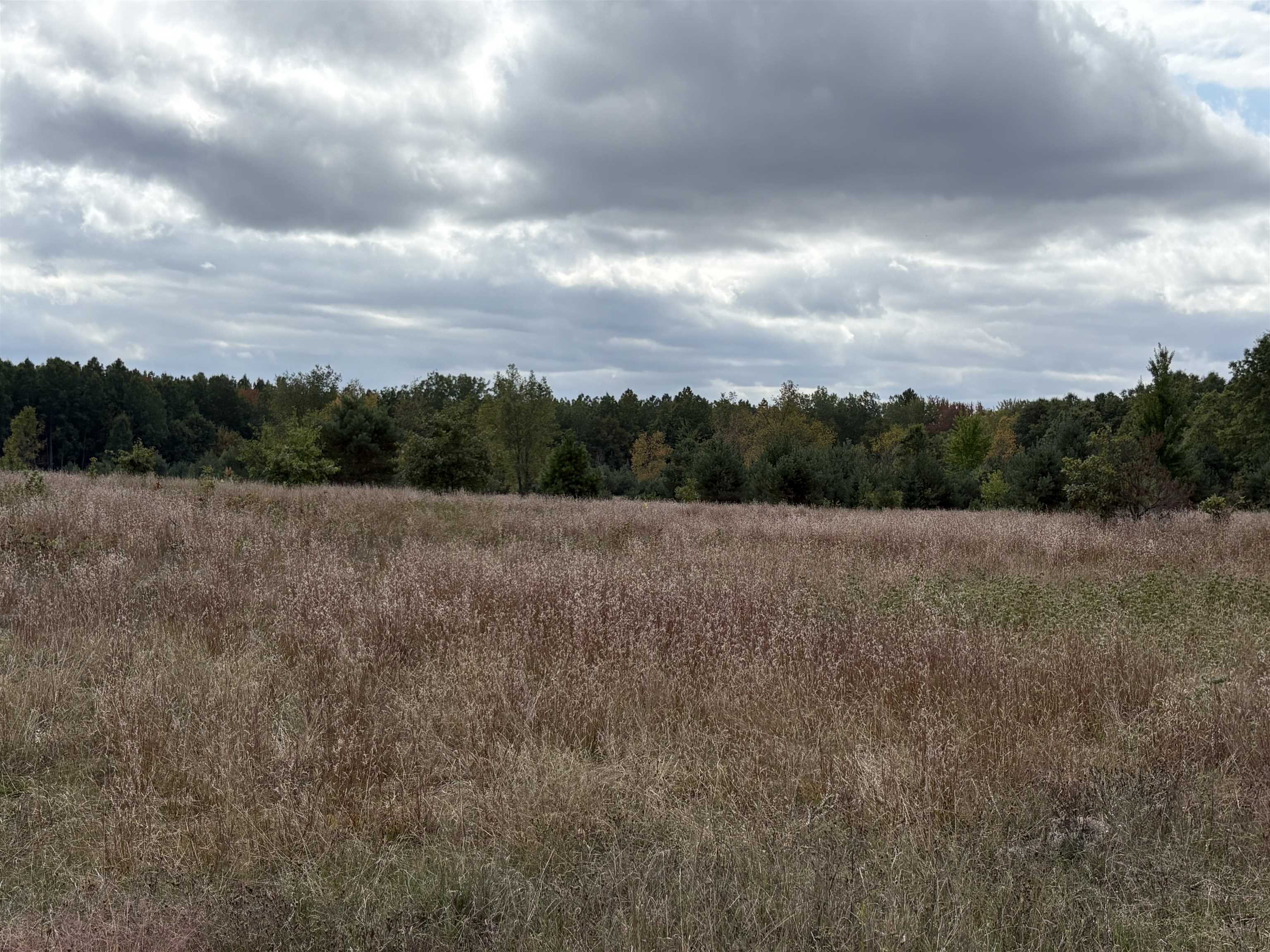 7267 S Snyder Road Property Photo 9