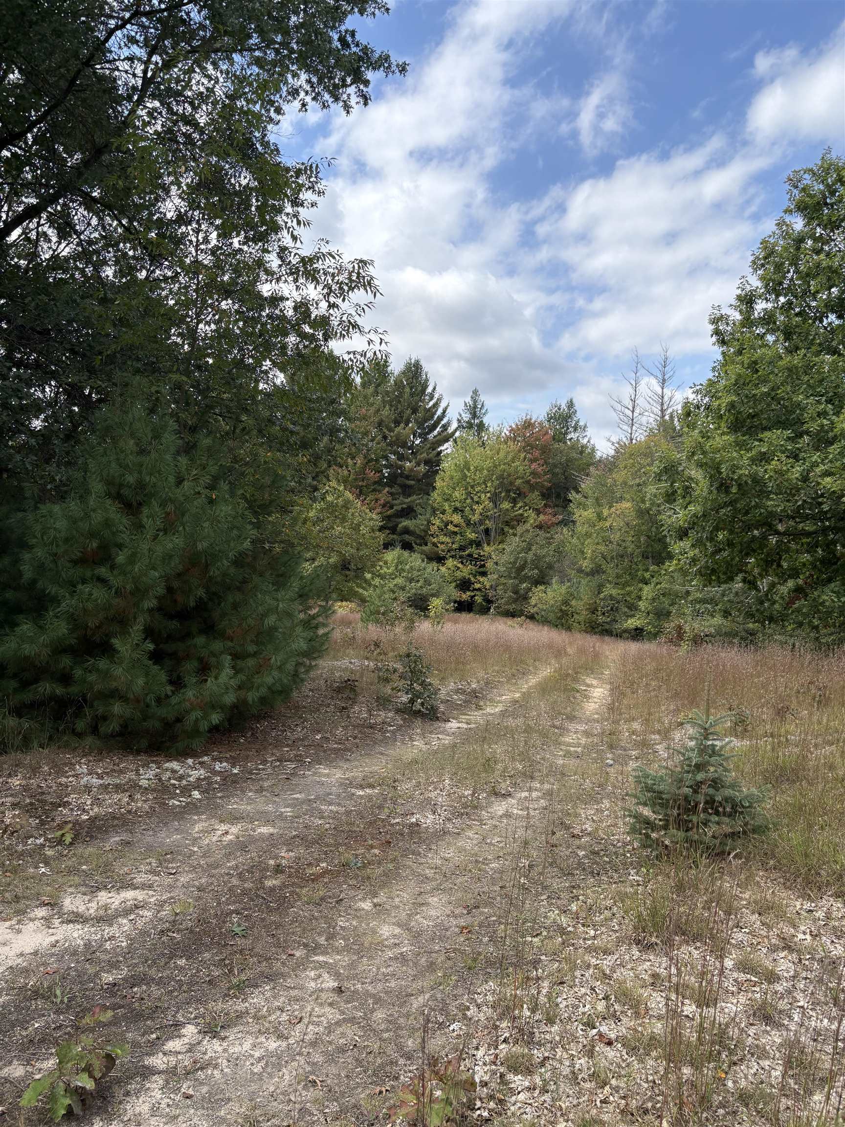 7267 S Snyder Road Property Photo 10