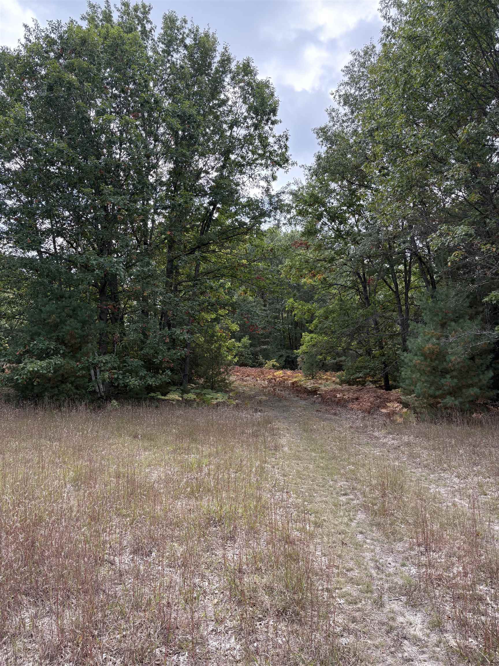 7267 S Snyder Road Property Photo 12