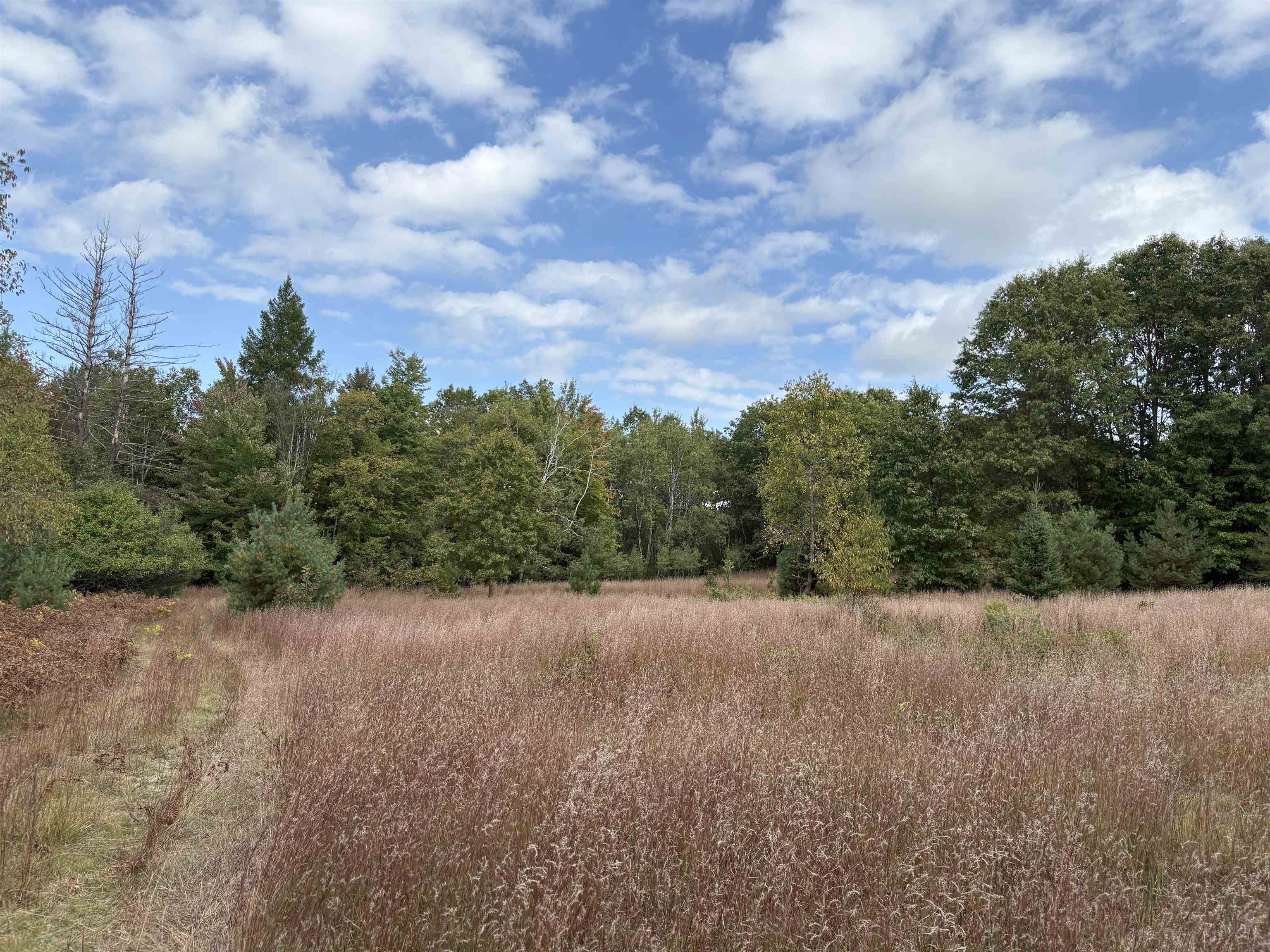 7267 S Snyder Road Property Photo 13