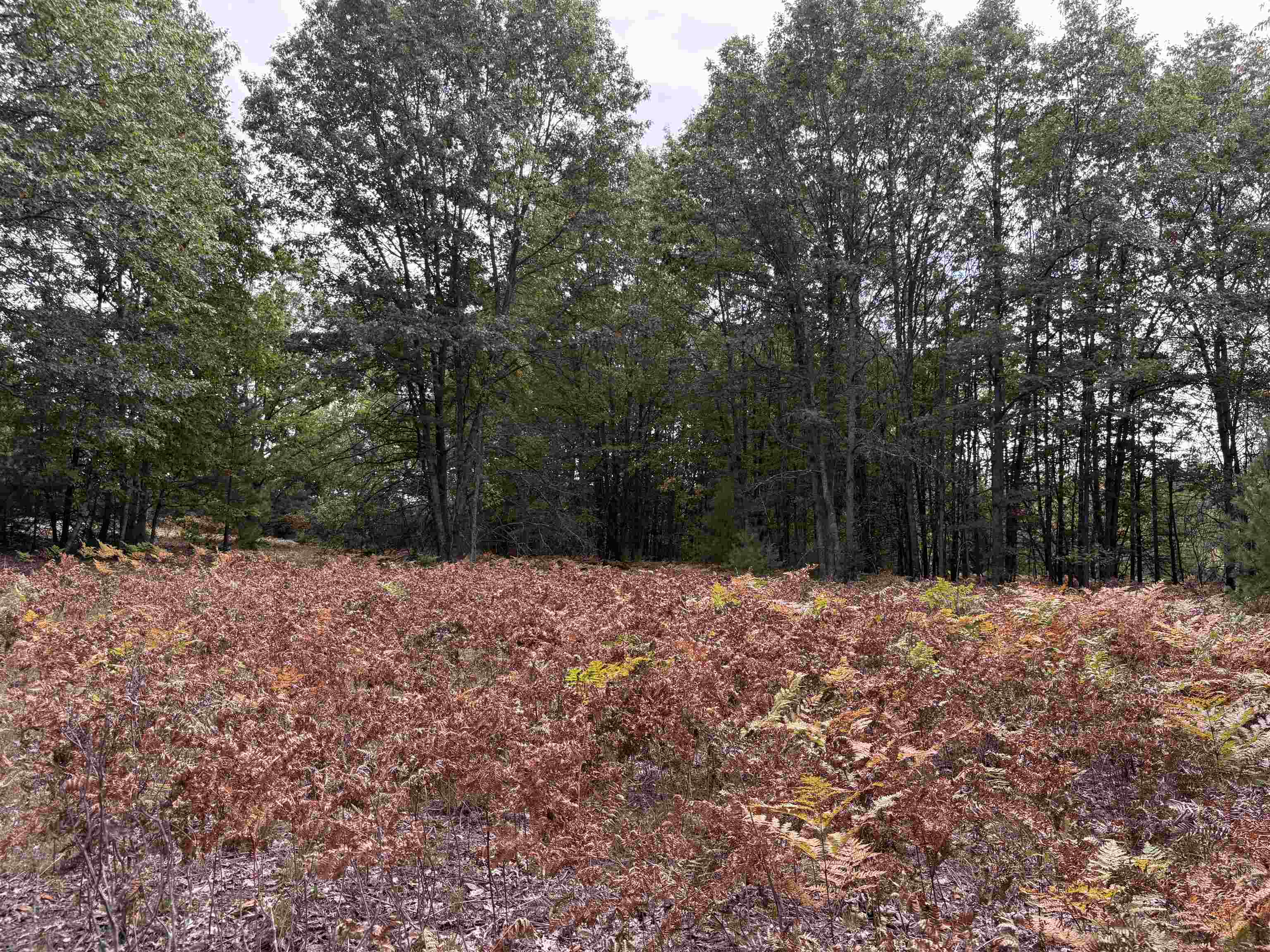 7267 S Snyder Road Property Photo 14