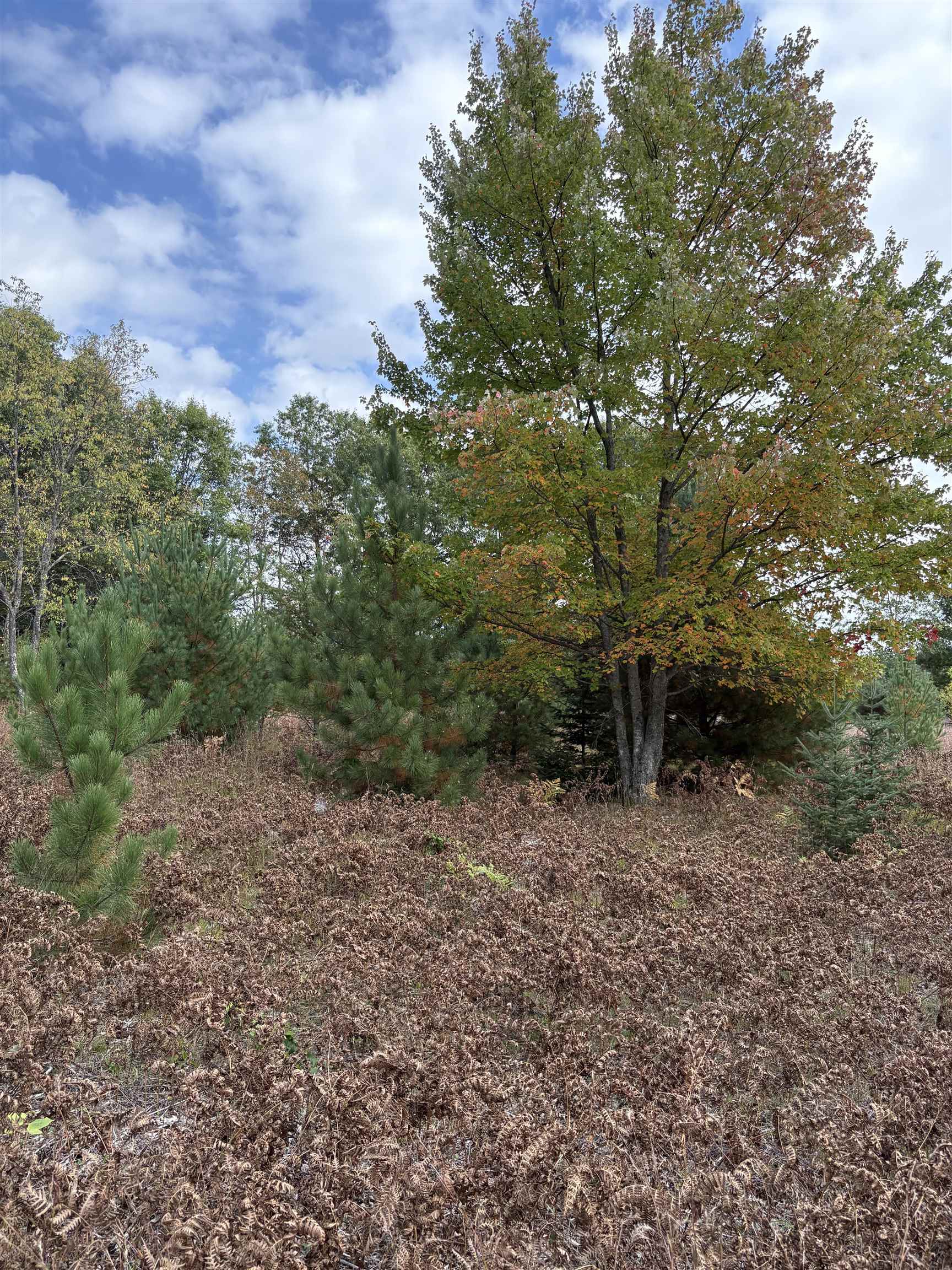 7267 S Snyder Road Property Photo 15