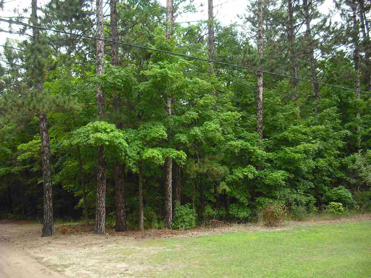 Parcel F3a Jackson Creek Road Property Photo 1