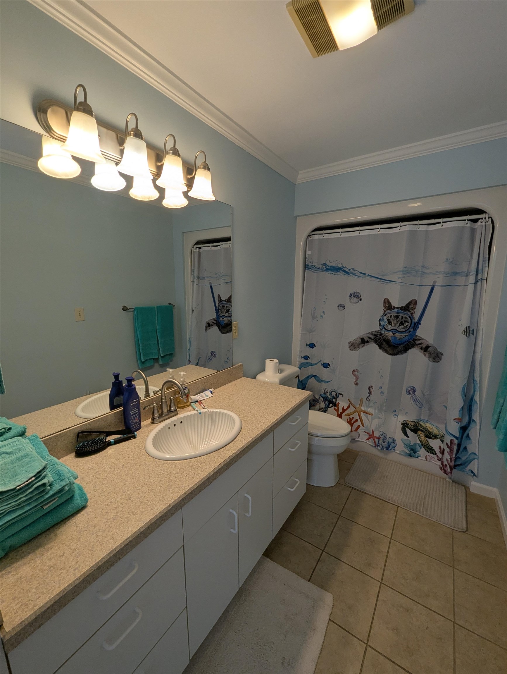 2923 Midshipman Drive Property Photo 30
