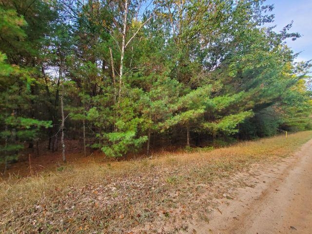 0 Buffalo Trail Property Photo 3