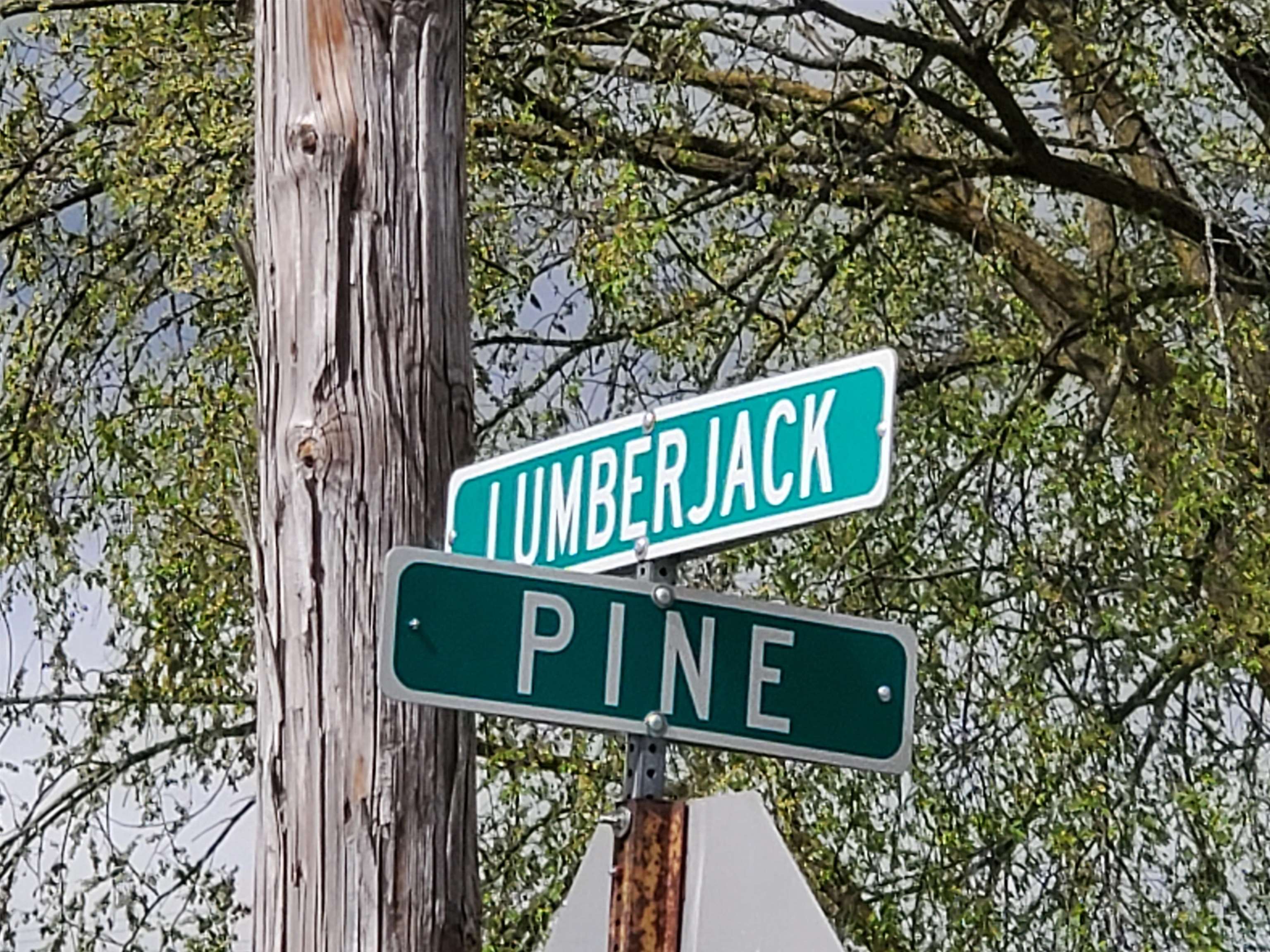 Tbd N Lumberjack Road Property Photo 2