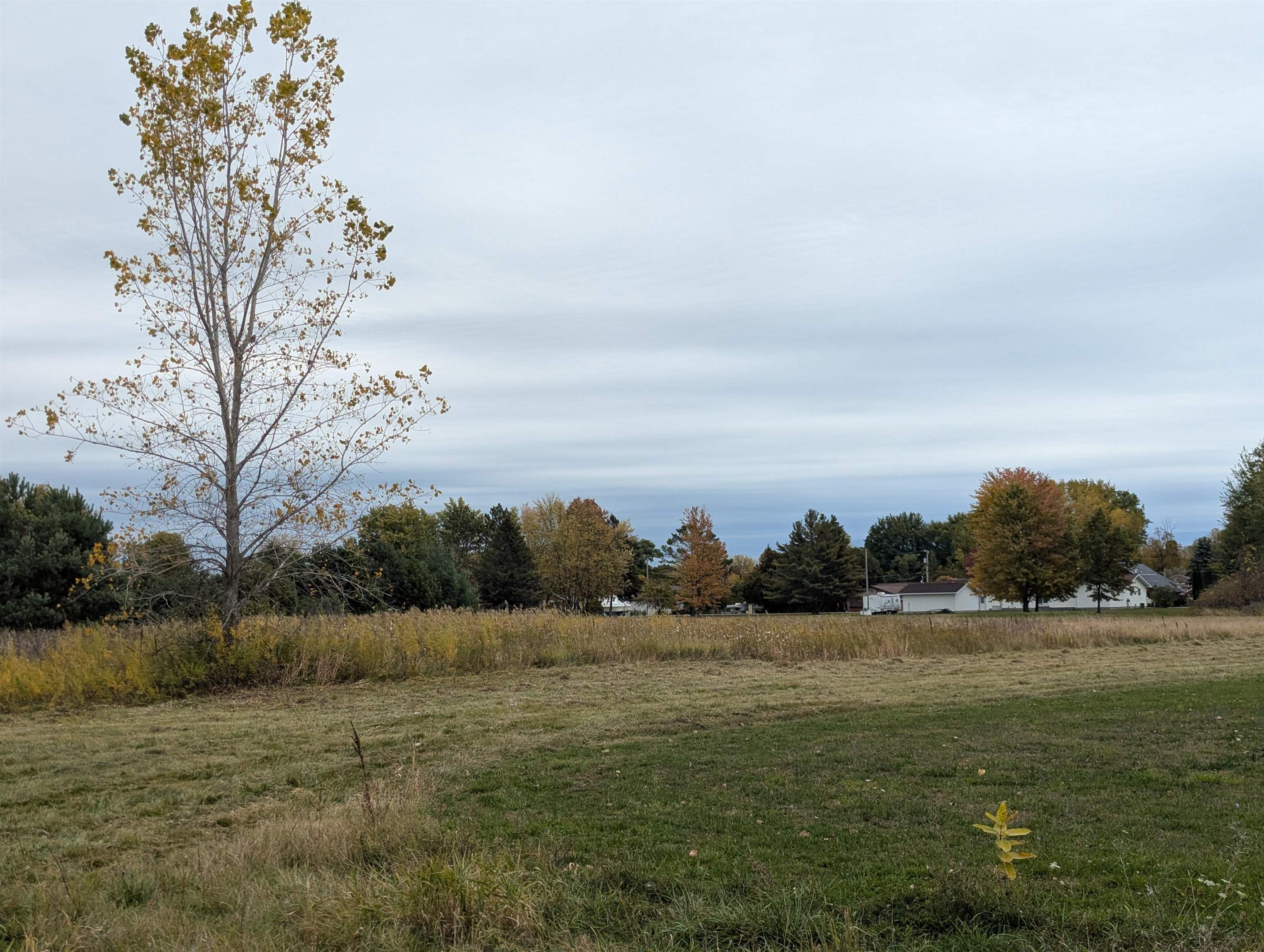 N/a Court Street Property Photo 17