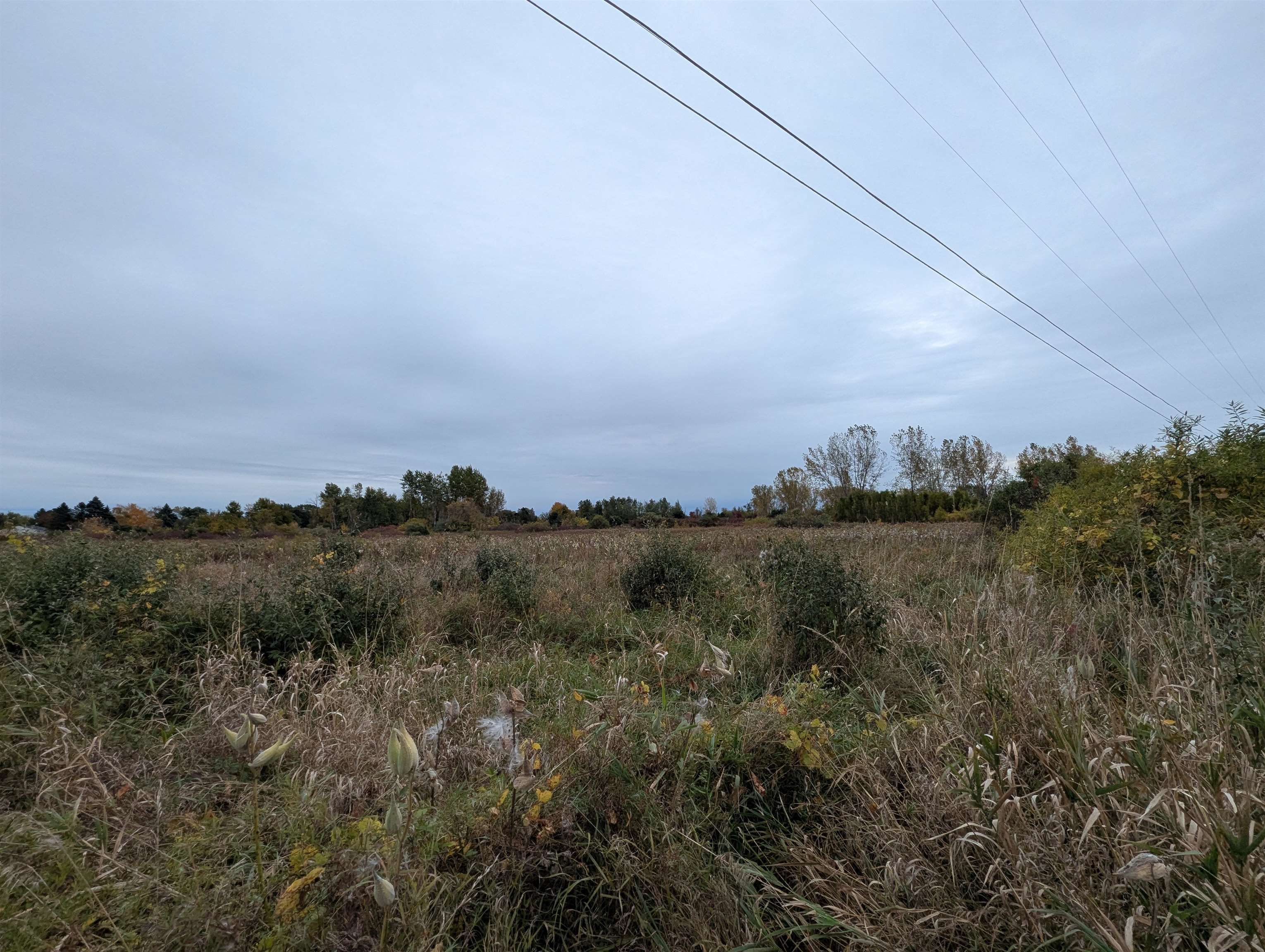 N/a Court Street Property Photo 4