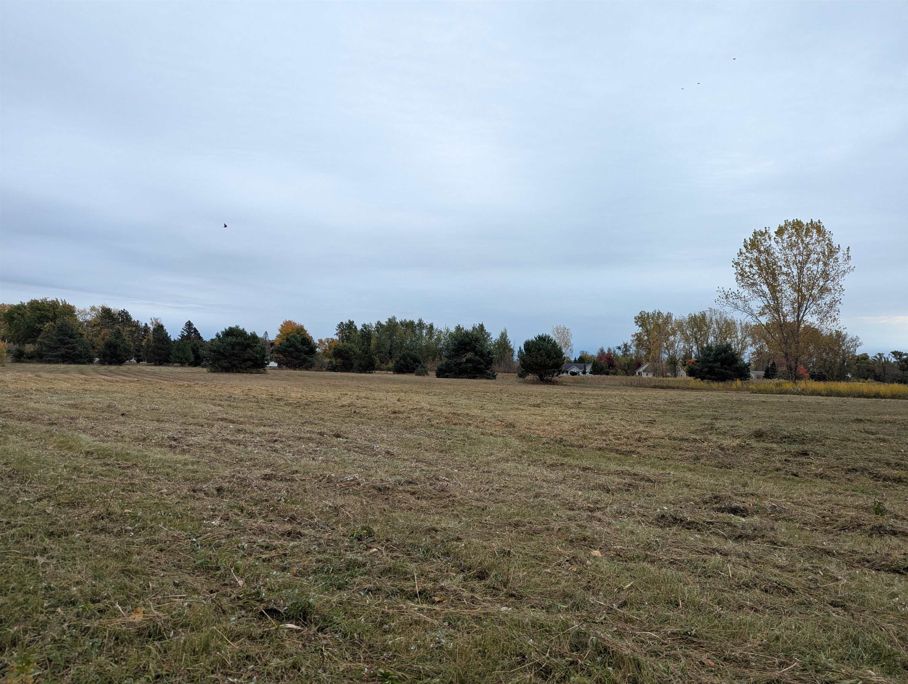 N/a Court Street Property Photo 9