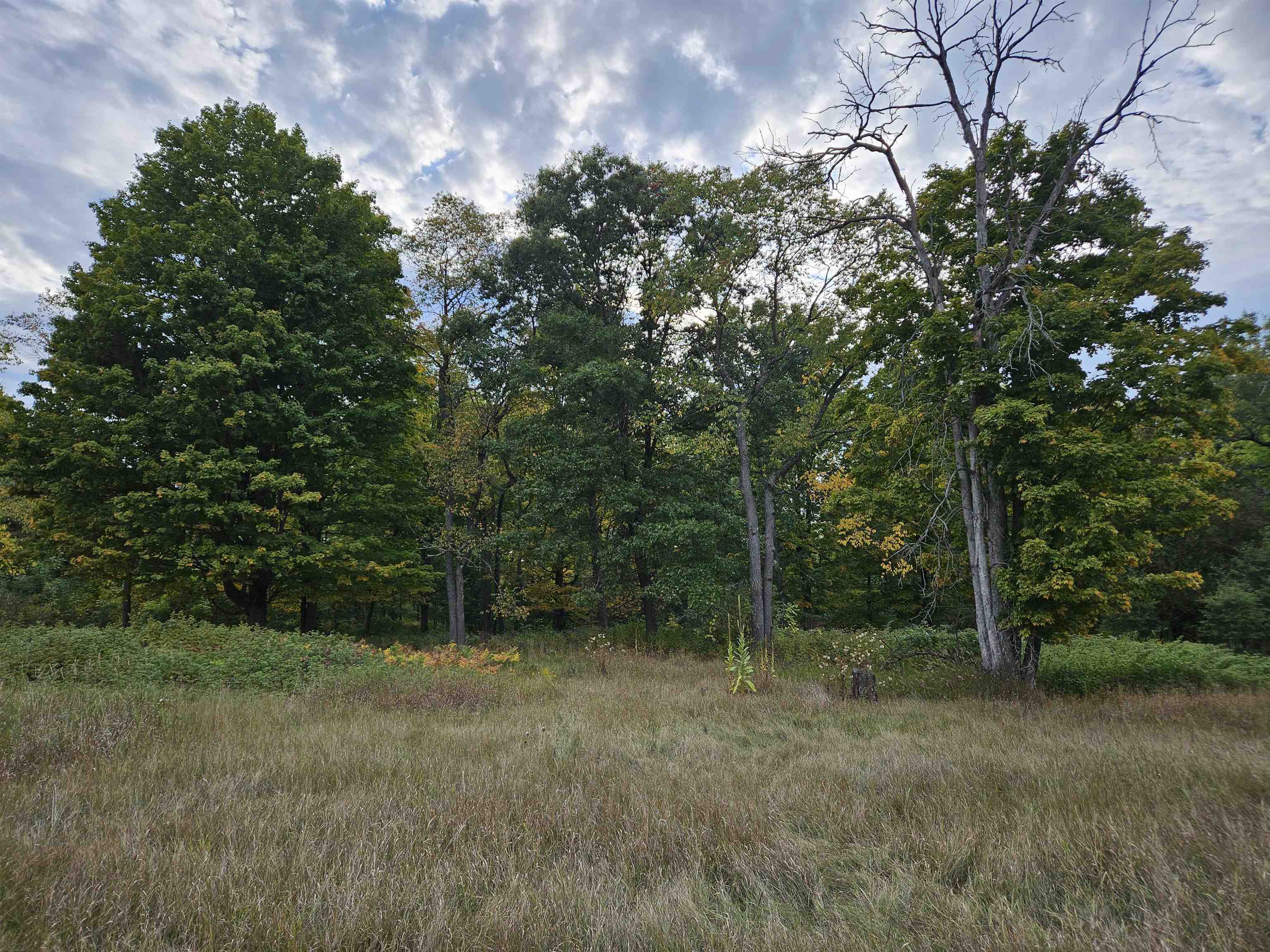 0 Twin Lake Road Property Photo 3