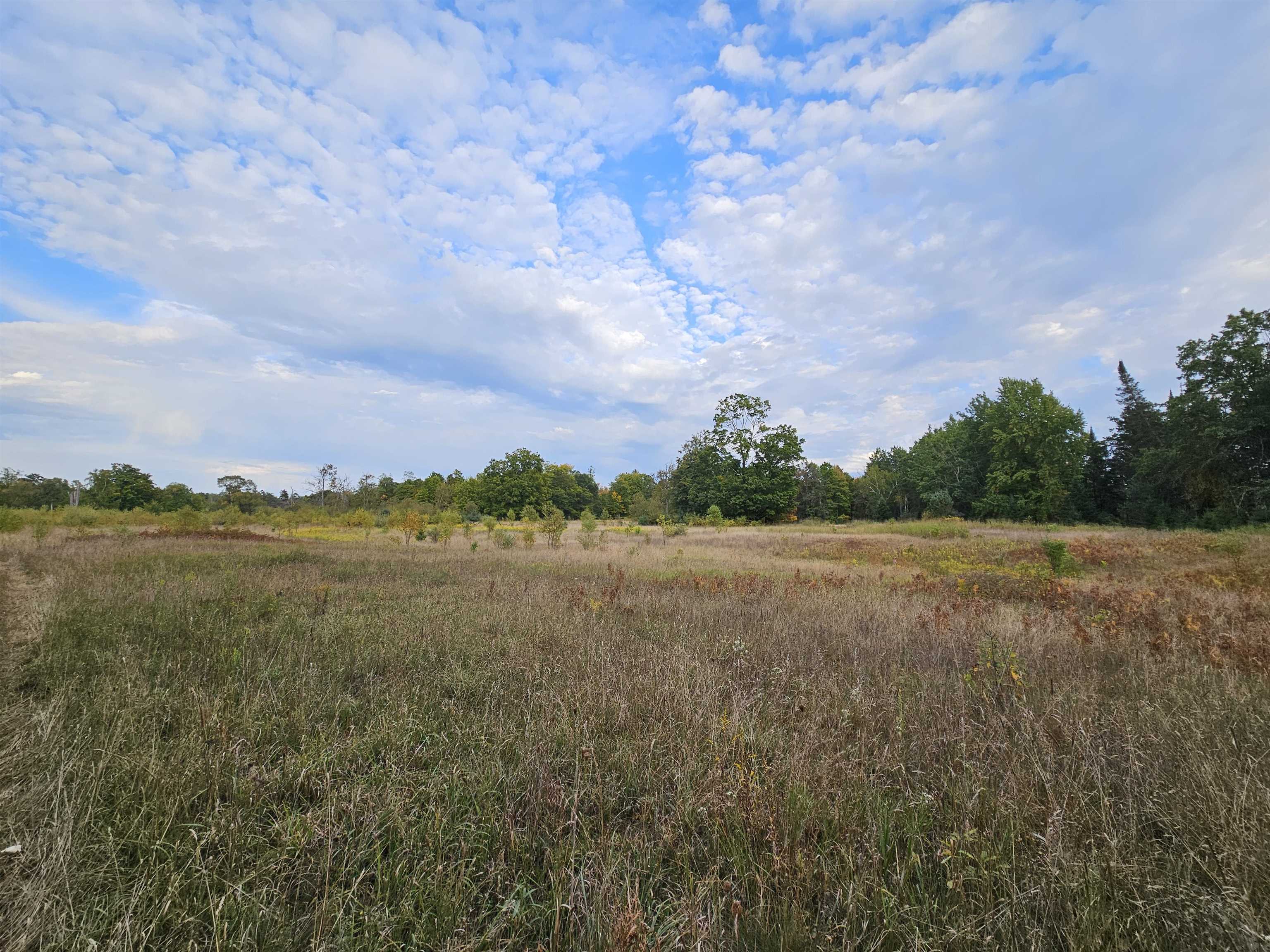 0 Twin Lake Road Property Photo 4