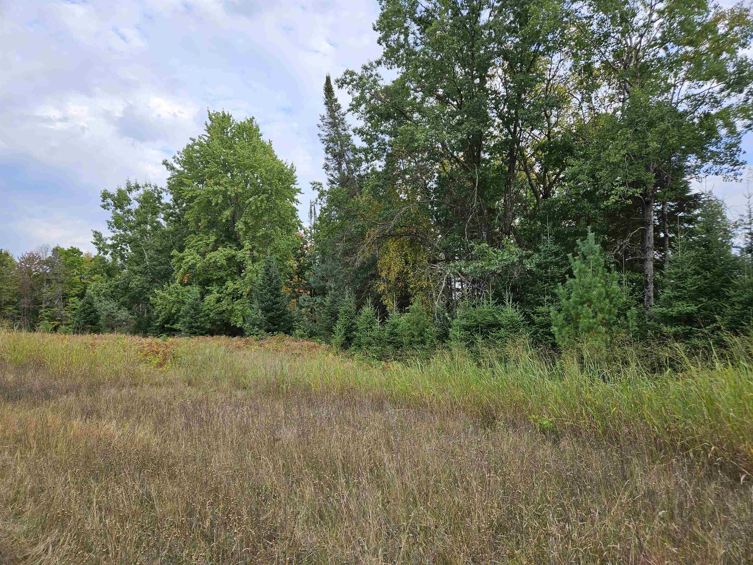 0 Twin Lake Road Property Photo 6