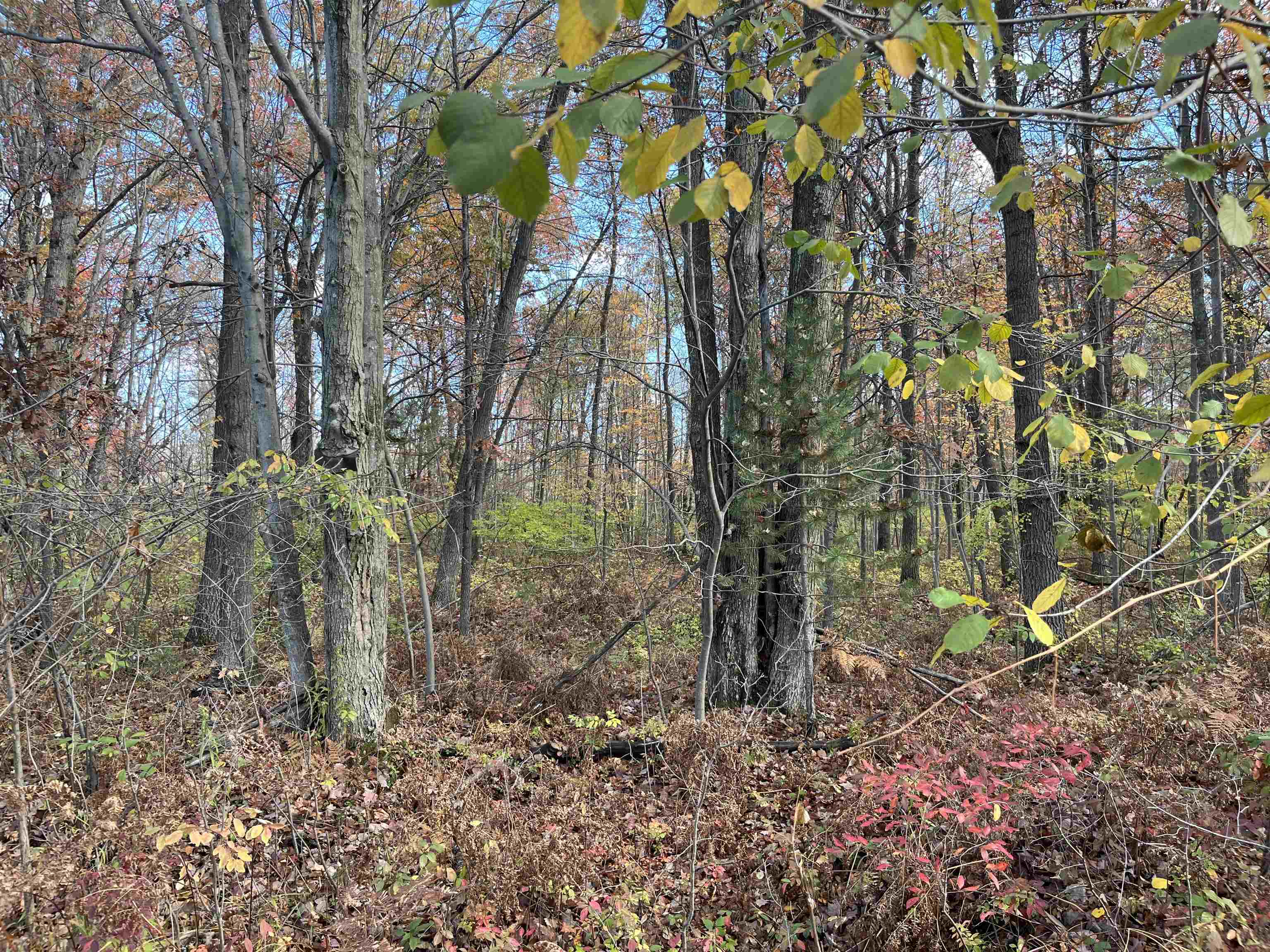 Nka Husak Road Property Photo 1
