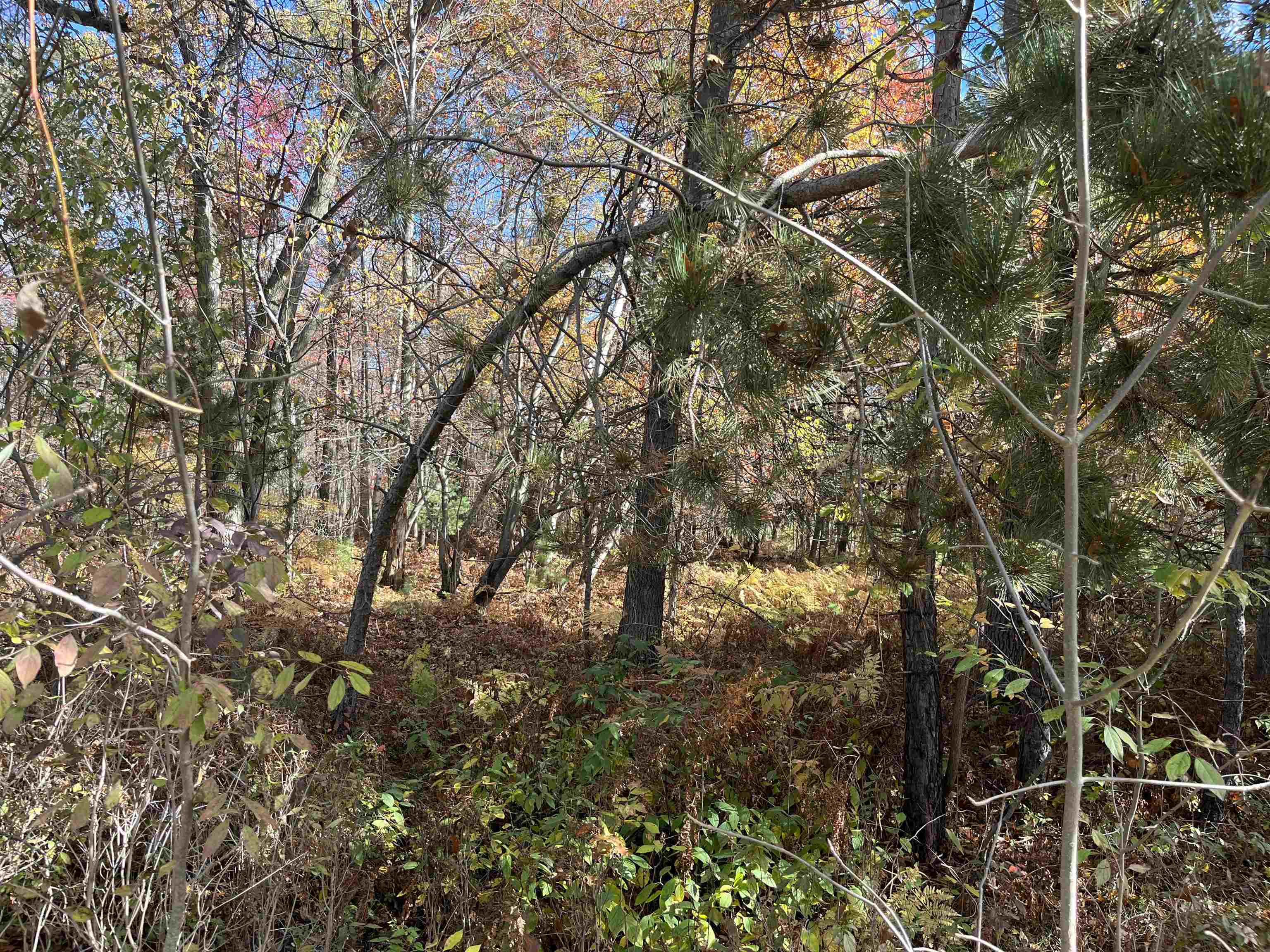 Nka Husak Road Property Photo 2