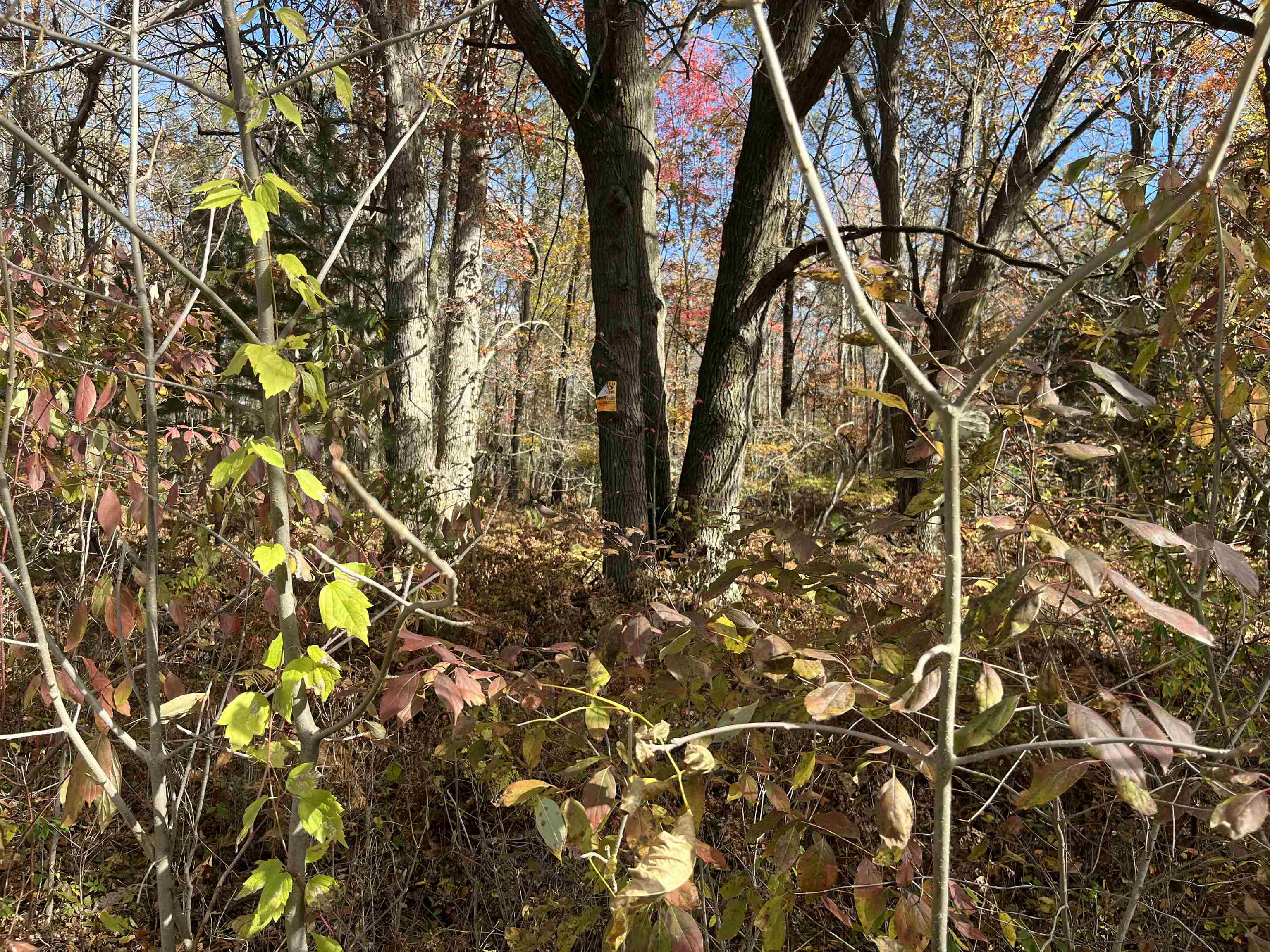 Nka Husak Road Property Photo 4